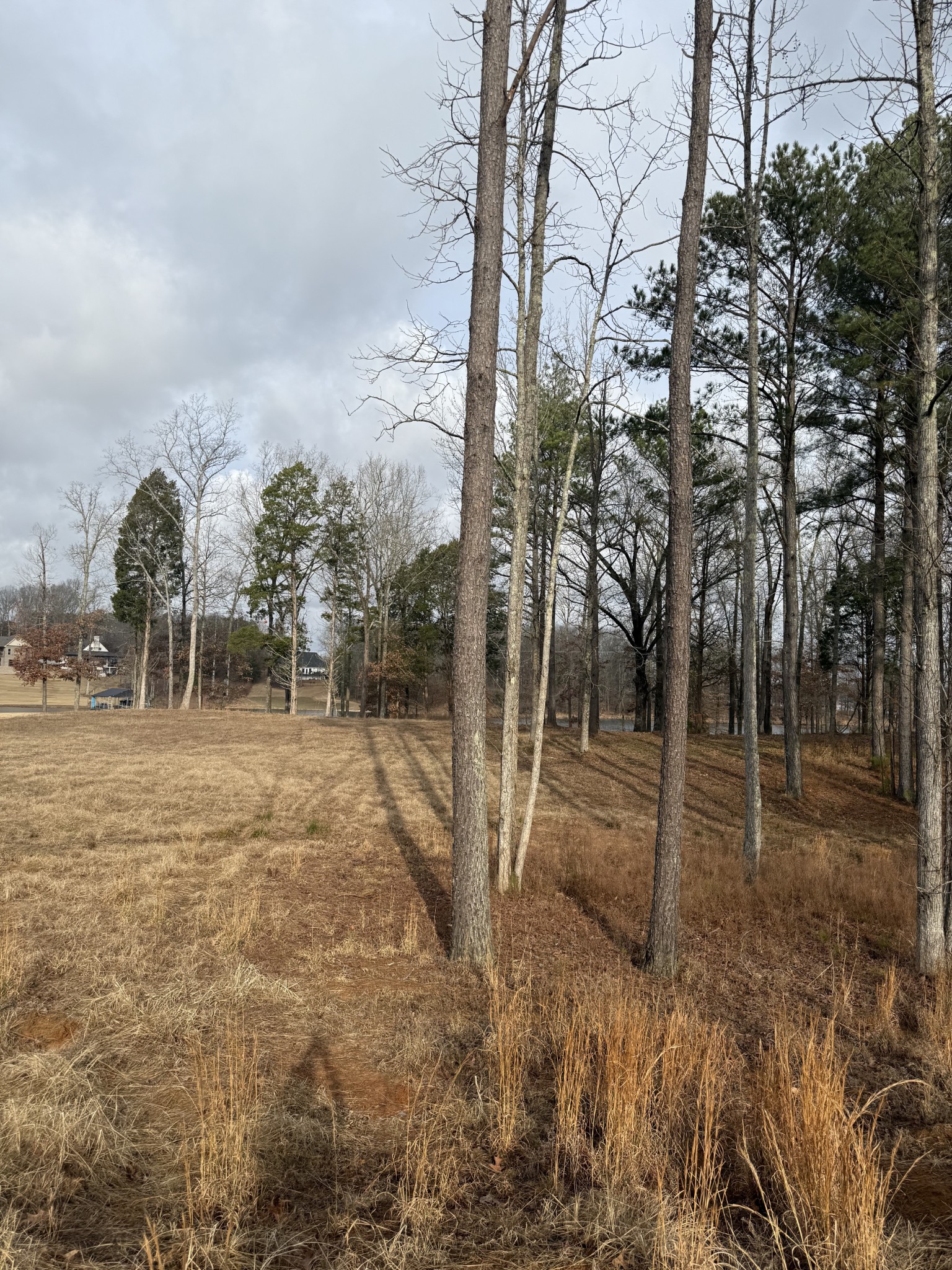 0 Stately Oak Dr Property Photo 1