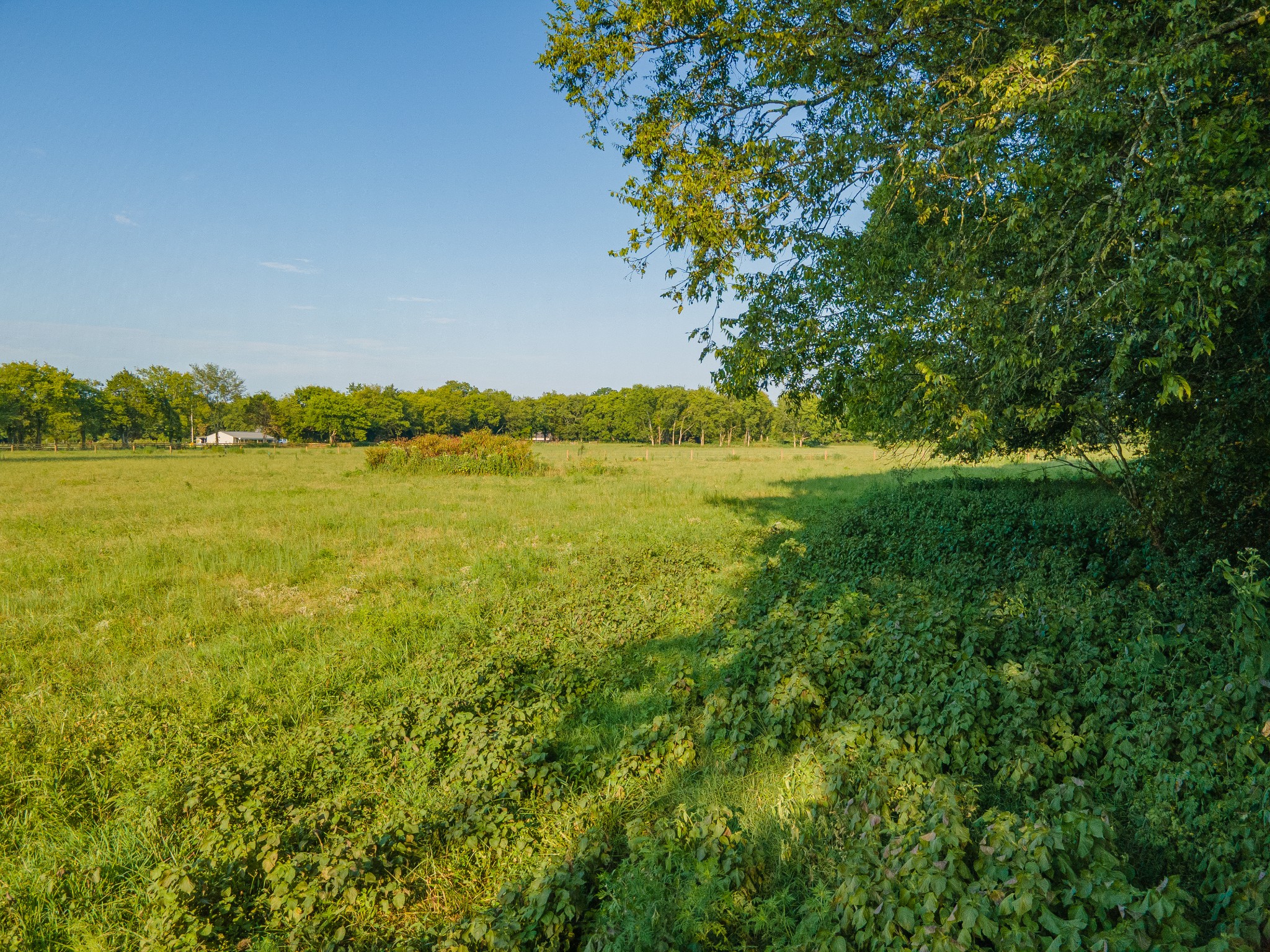 0 Hunter Bills Rd Property Photo 15