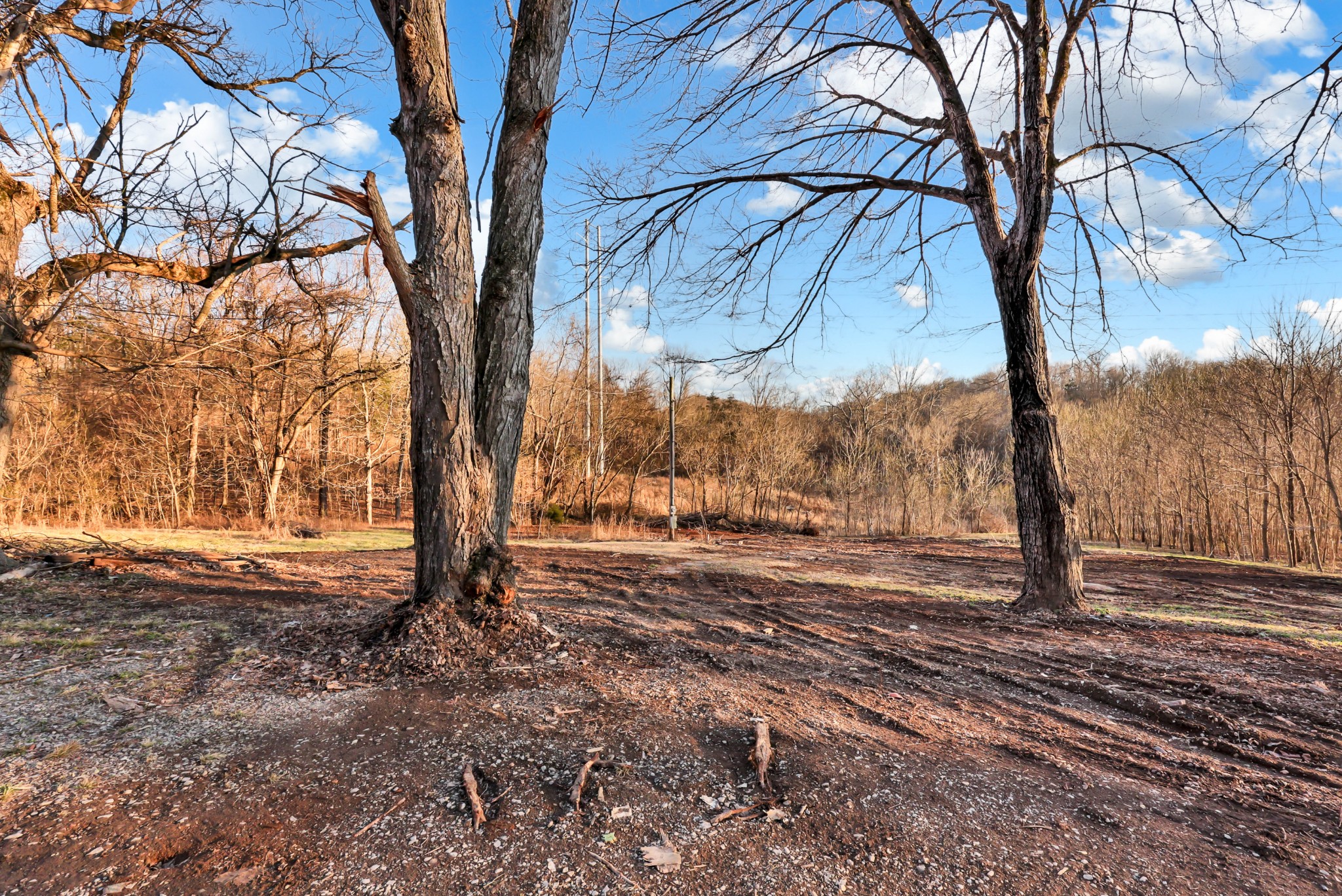 1986 Highway 76 Property Photo 21