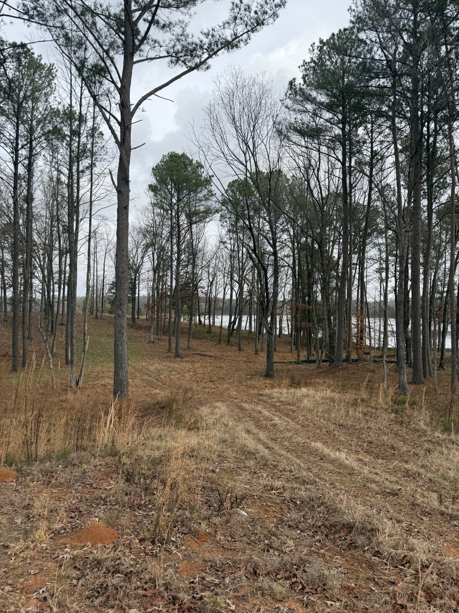 0 Stately Oak Dr Property Photo 1