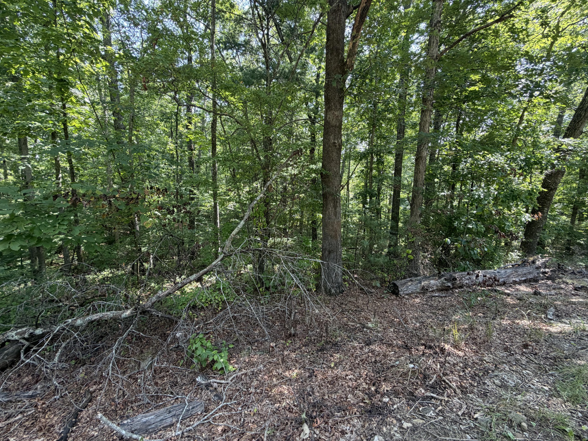 0 Pigeon Ridge Rd