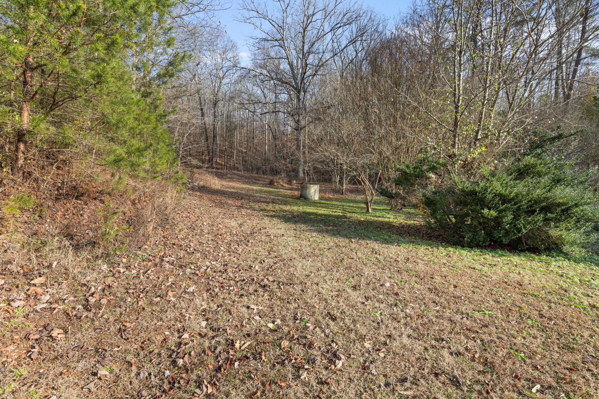 5685 County Rd 14 Property Photo 26