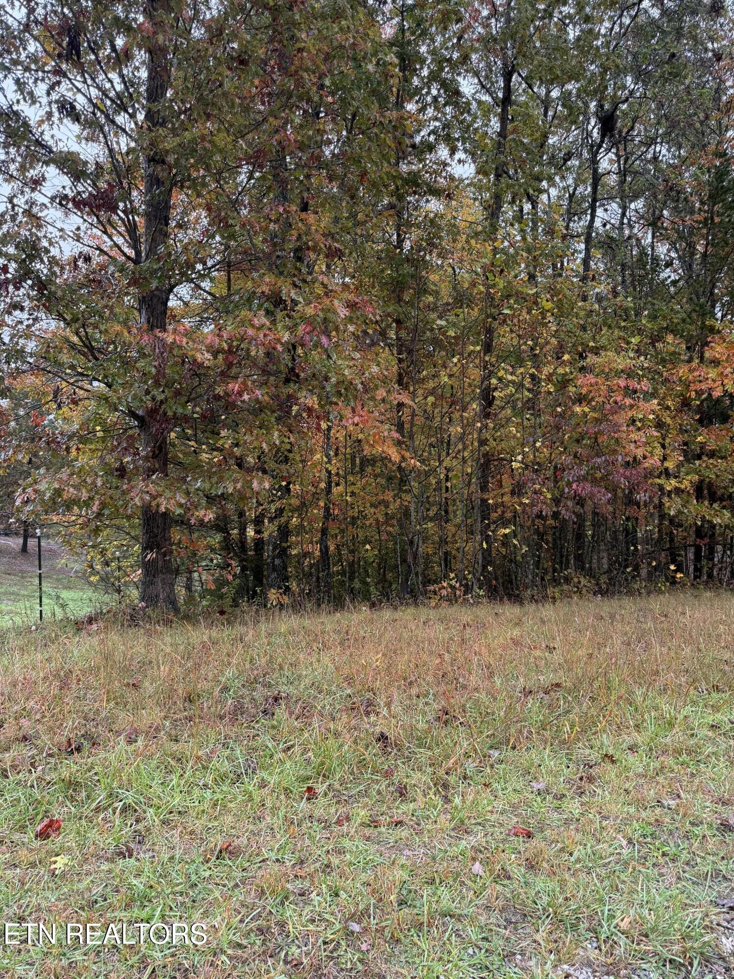 0 Eagle Blf Property Photo 13