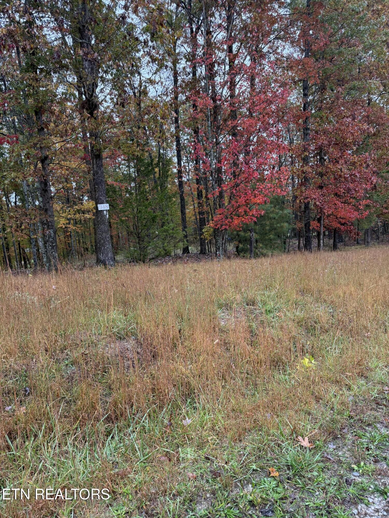 0 Eagle Blf Property Photo 18
