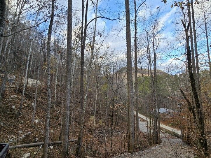 1029 E Obey Ln Property Photo 30