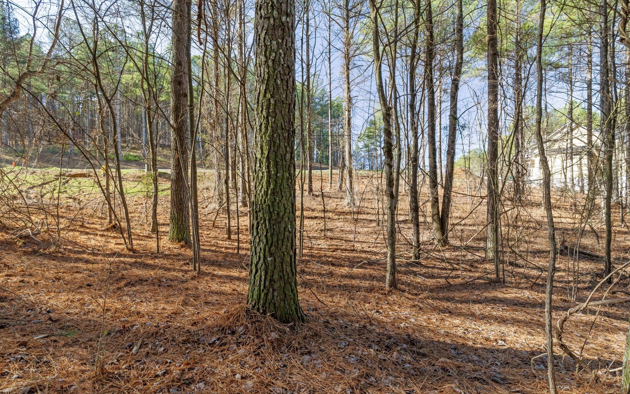 1125 Split Rail Way Property Photo 8