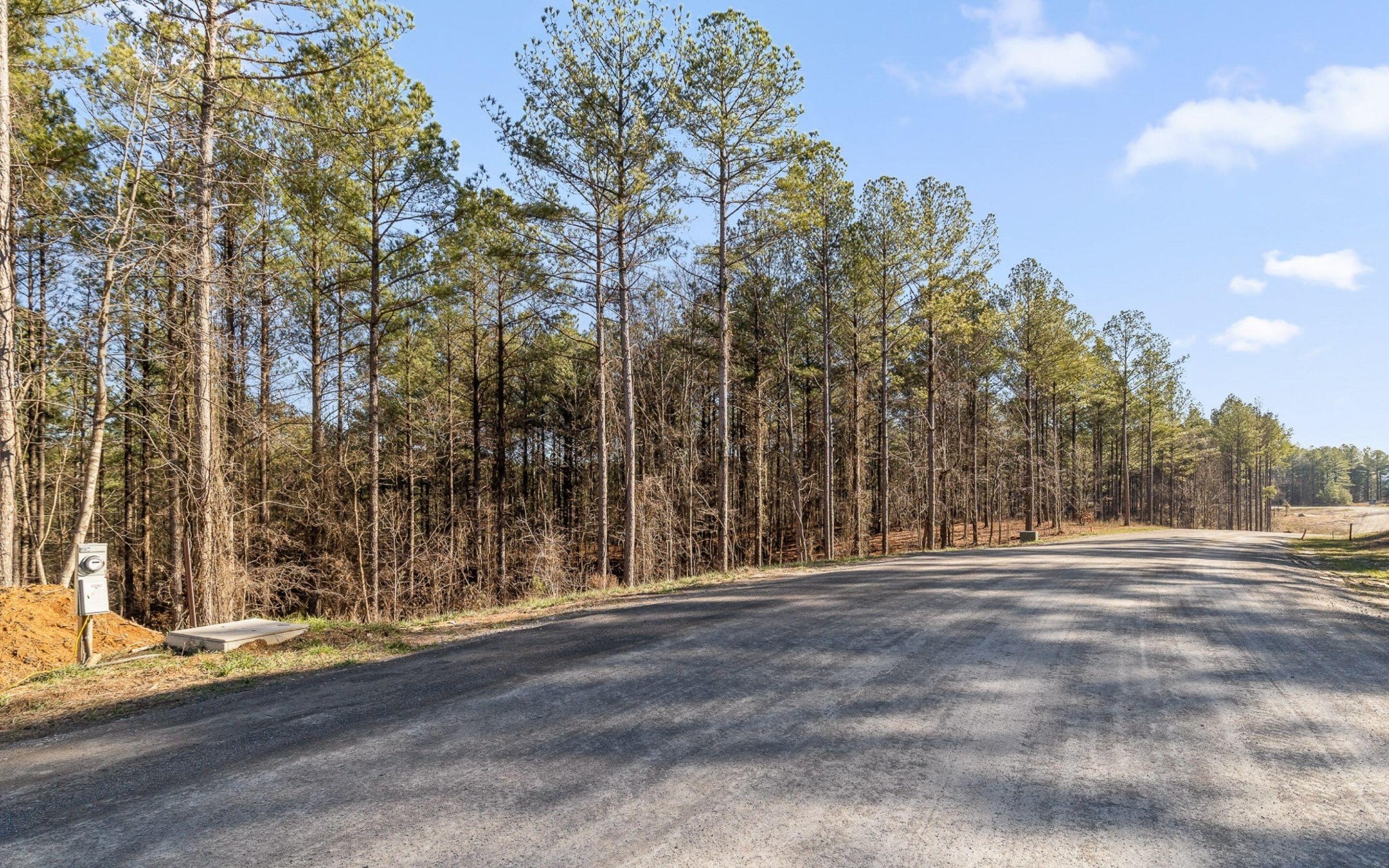 1125 Split Rail Way Property Photo 9