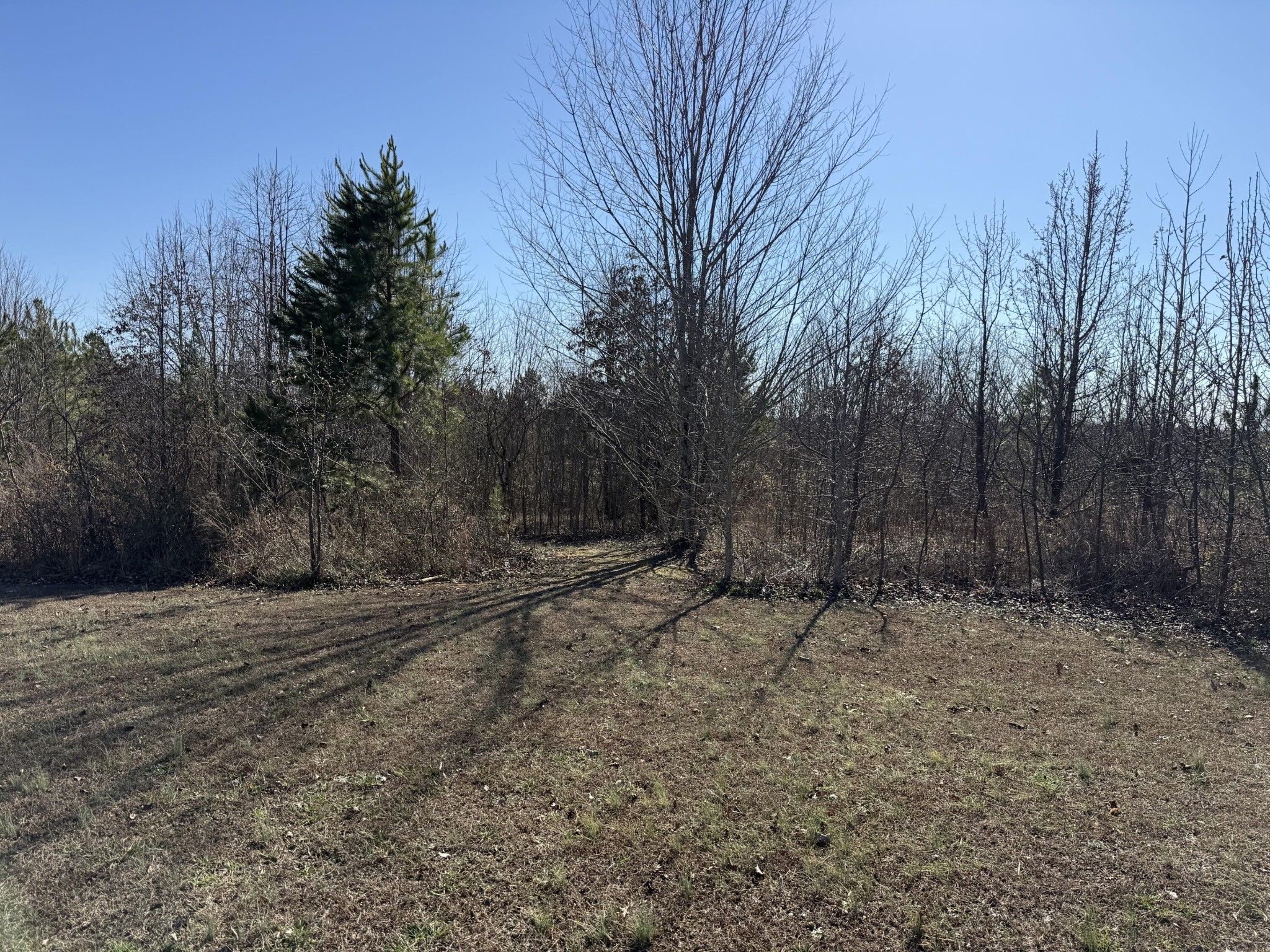 0 Castle Hill Dr Property Photo 1