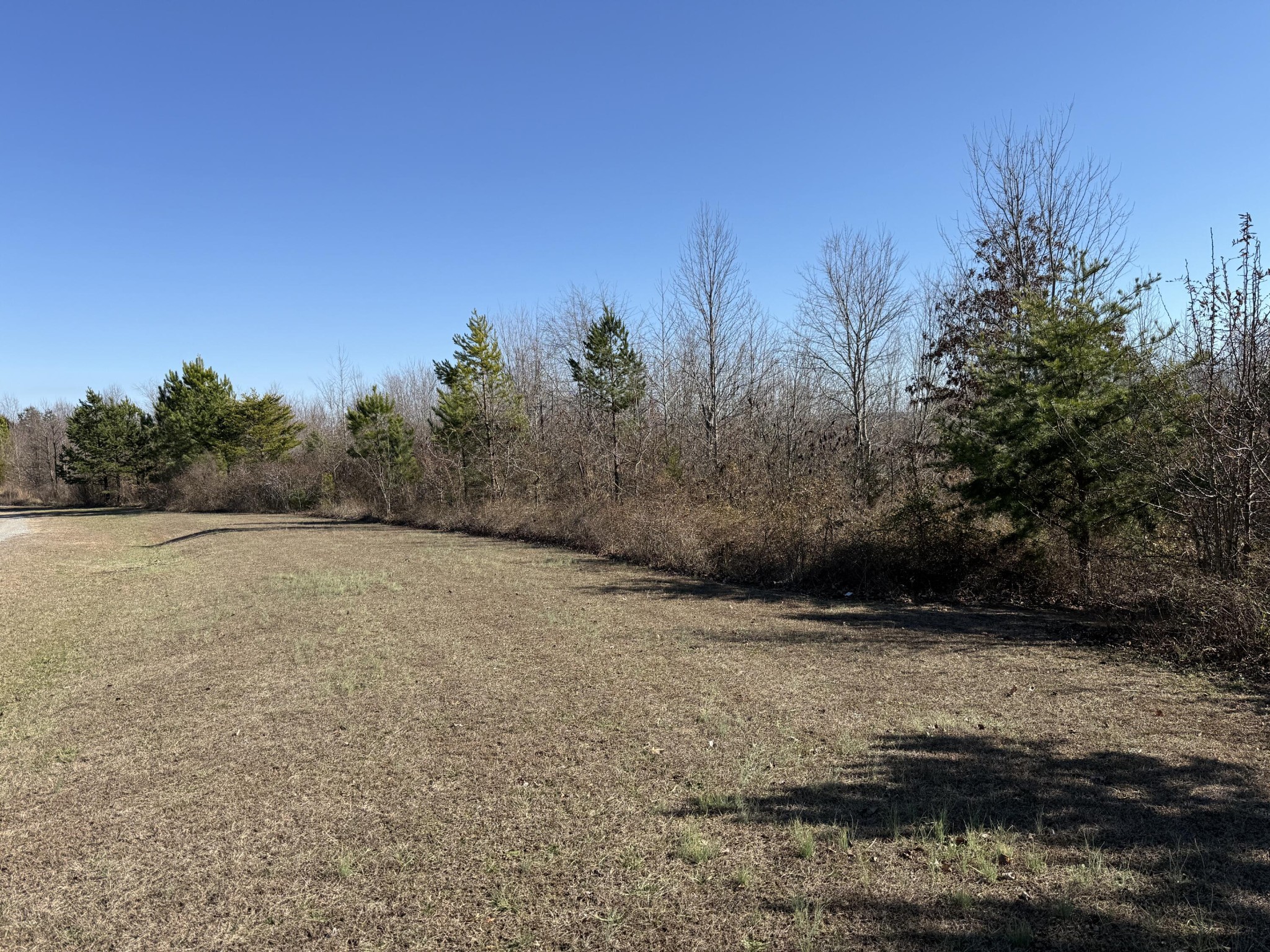 0 Castle Hill Dr Property Photo 3