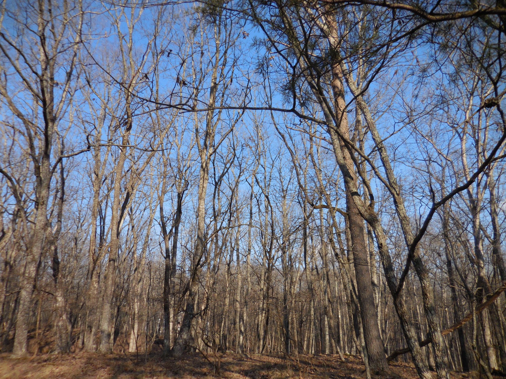 133 Greenbrier Loop Property Photo 1