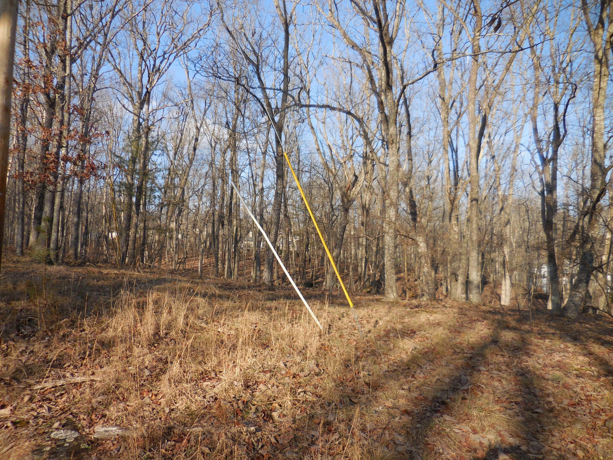 133 Greenbrier Loop Property Photo 2