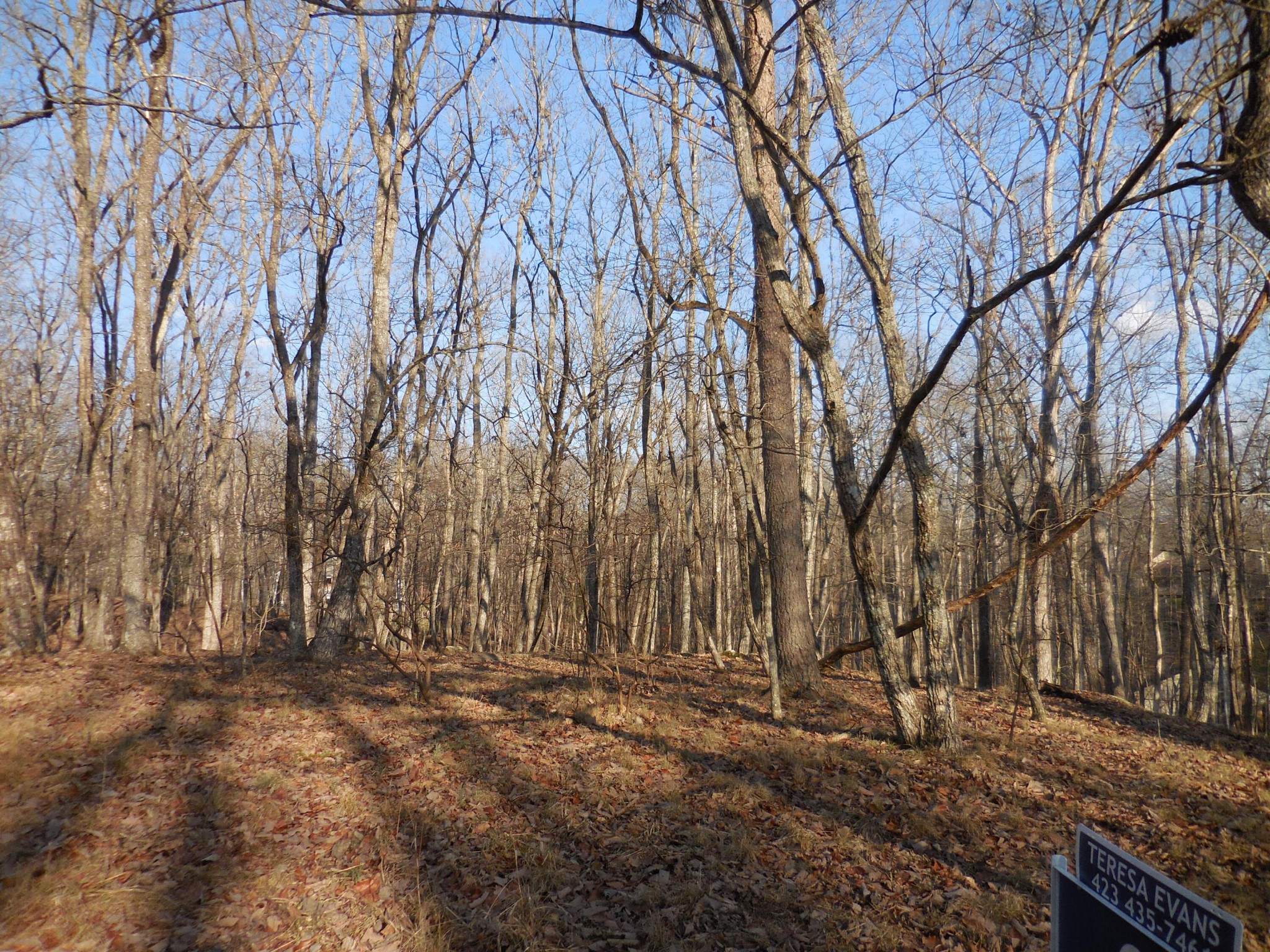 133 Greenbrier Loop Property Photo 3