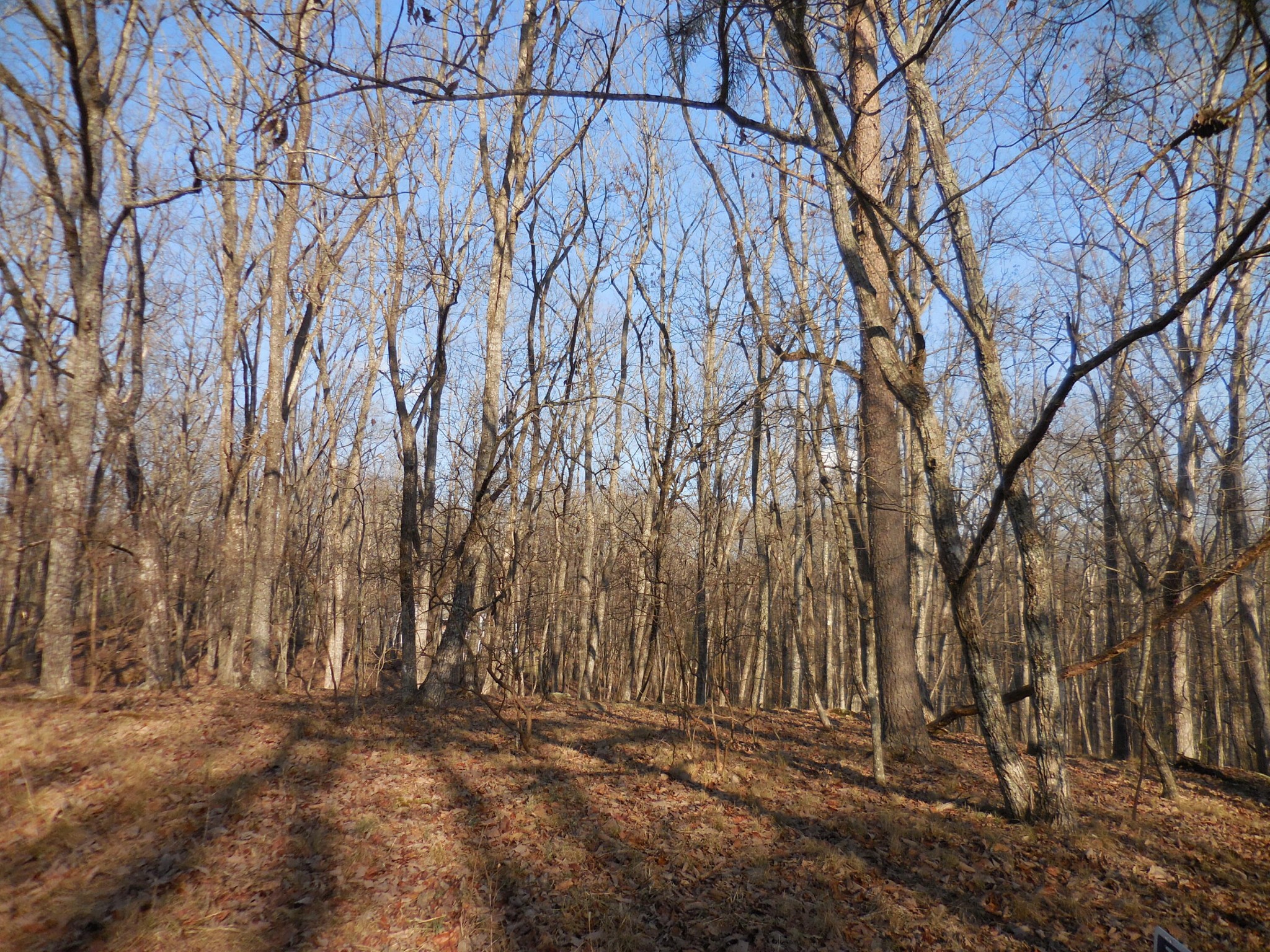 133 Greenbrier Loop Property Photo 6