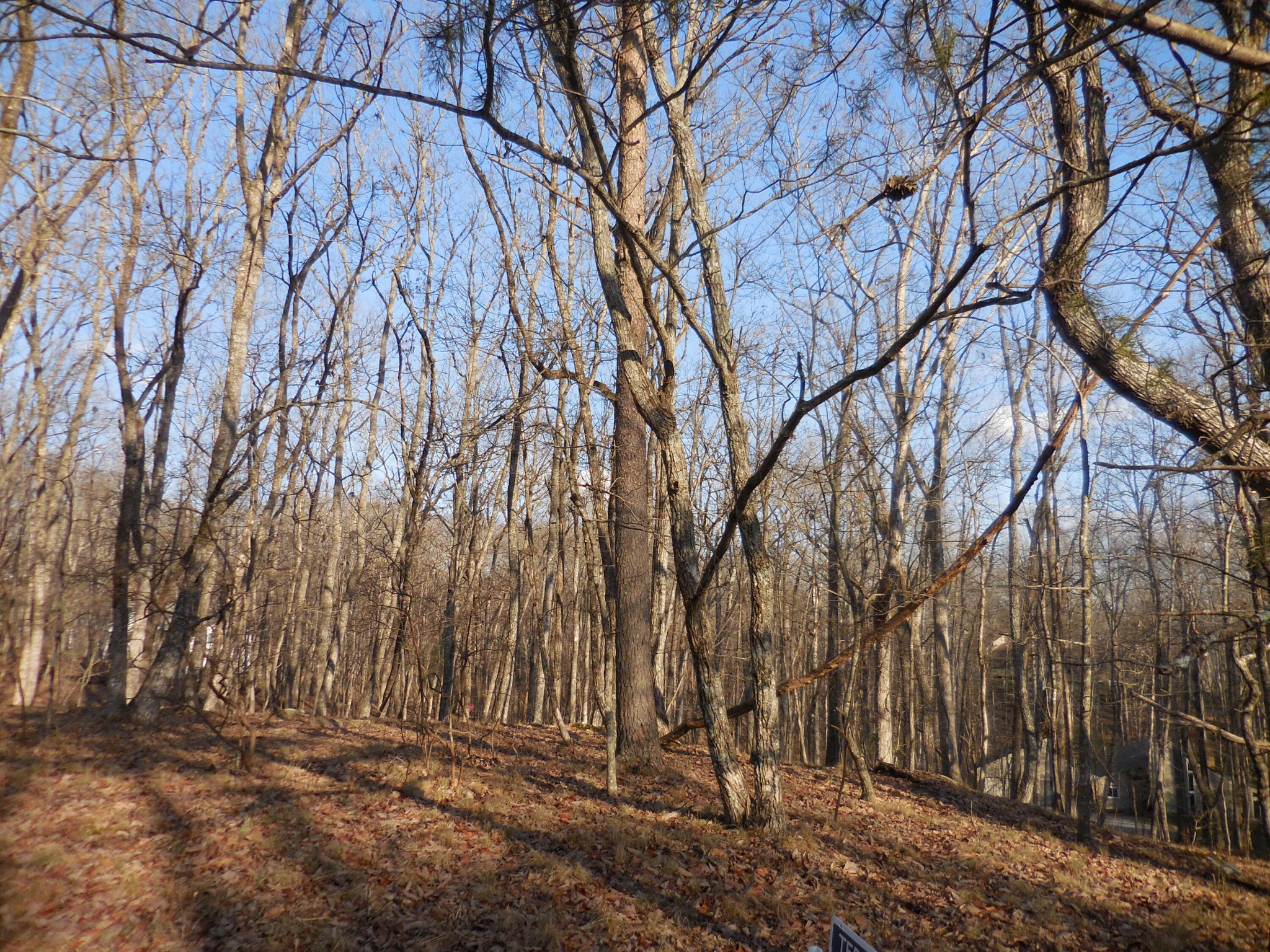 133 Greenbrier Loop Property Photo 7