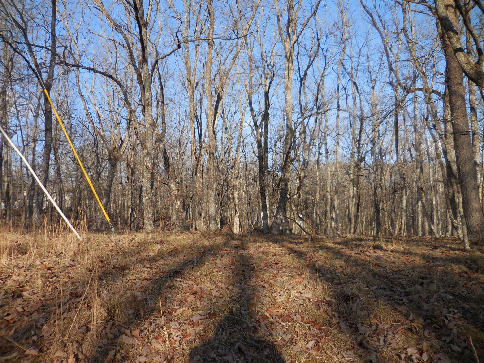 133 Greenbrier Loop Property Photo 8
