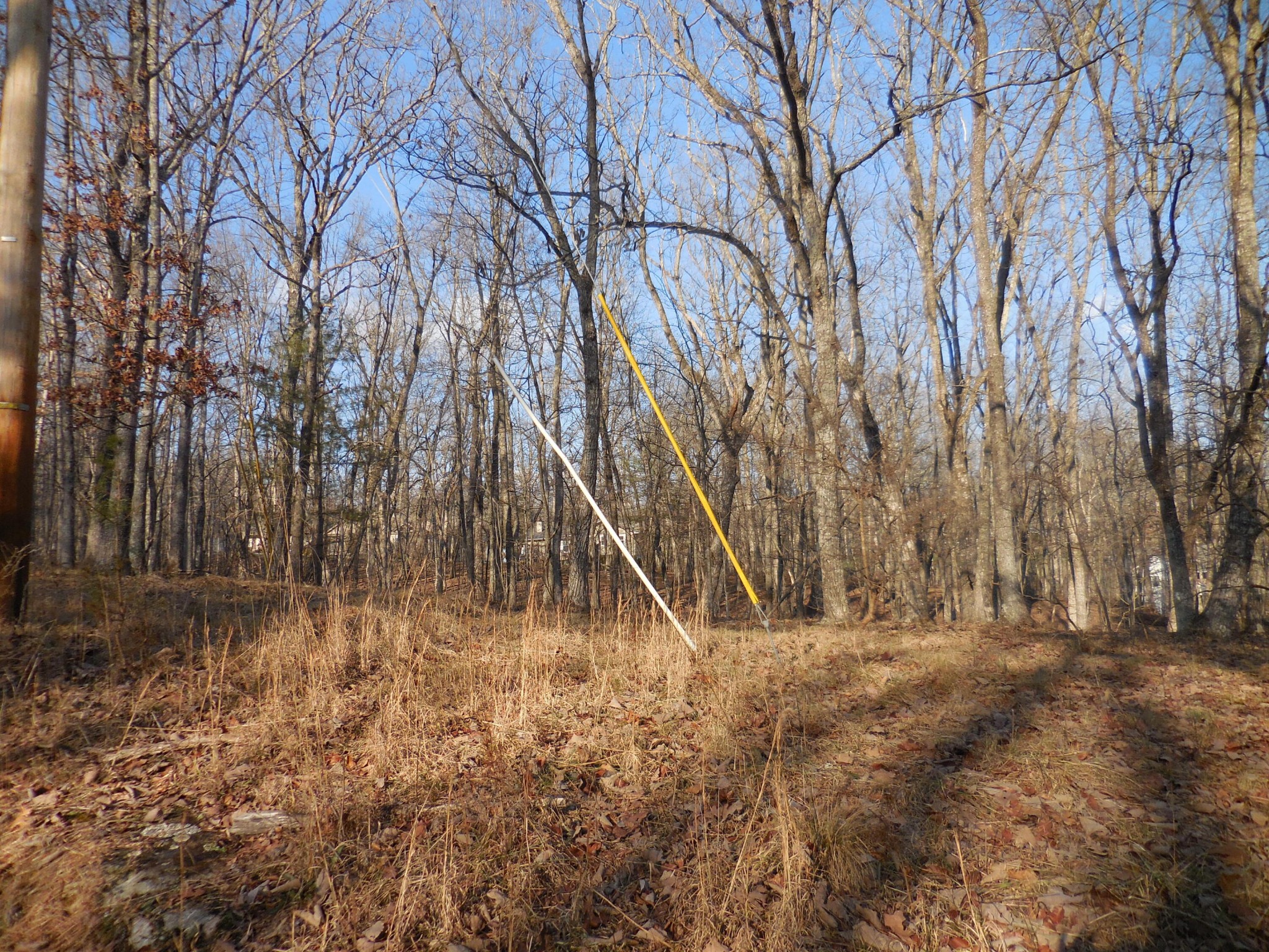 133 Greenbrier Loop Property Photo 9