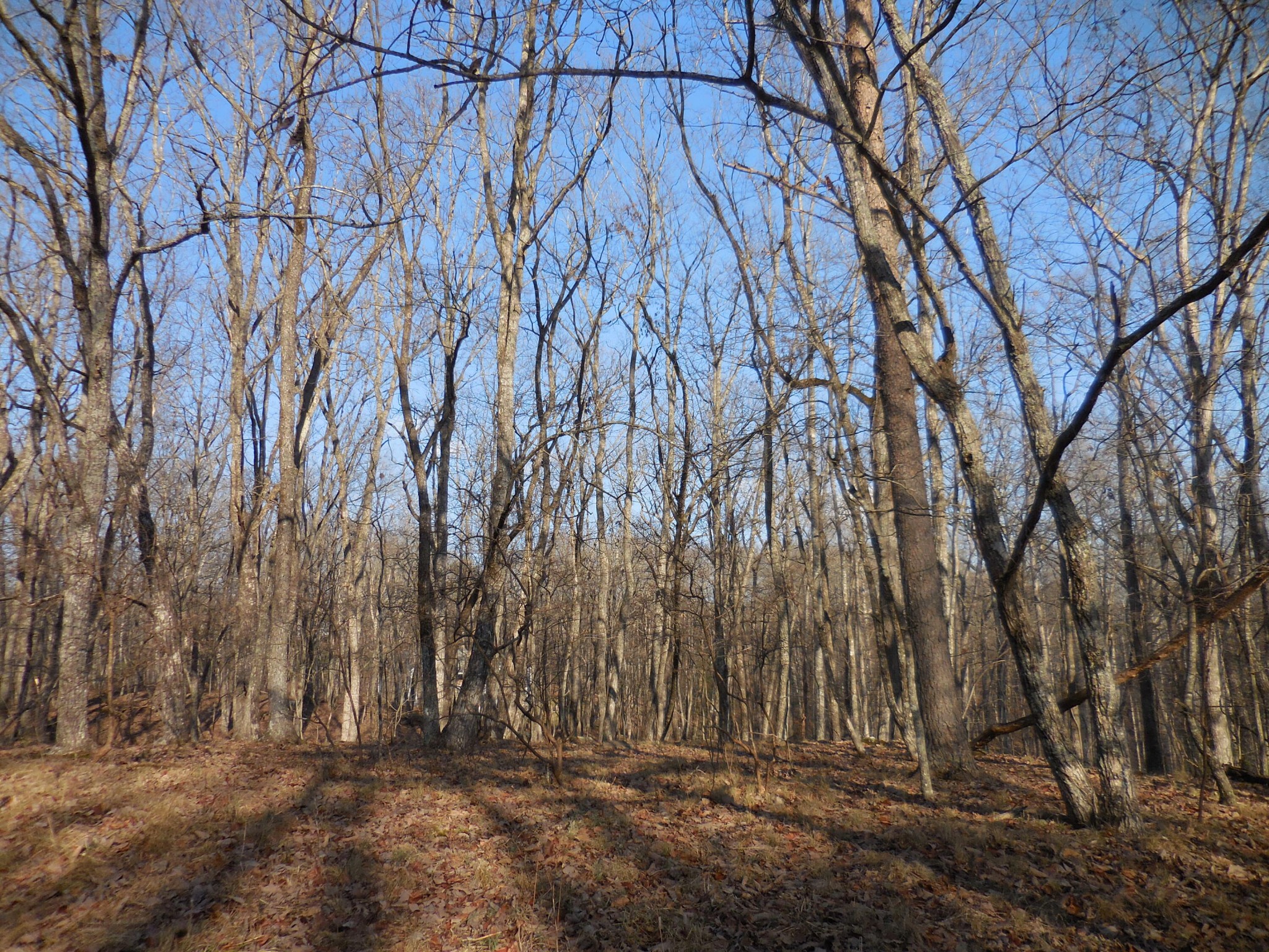 133 Greenbrier Loop Property Photo 10