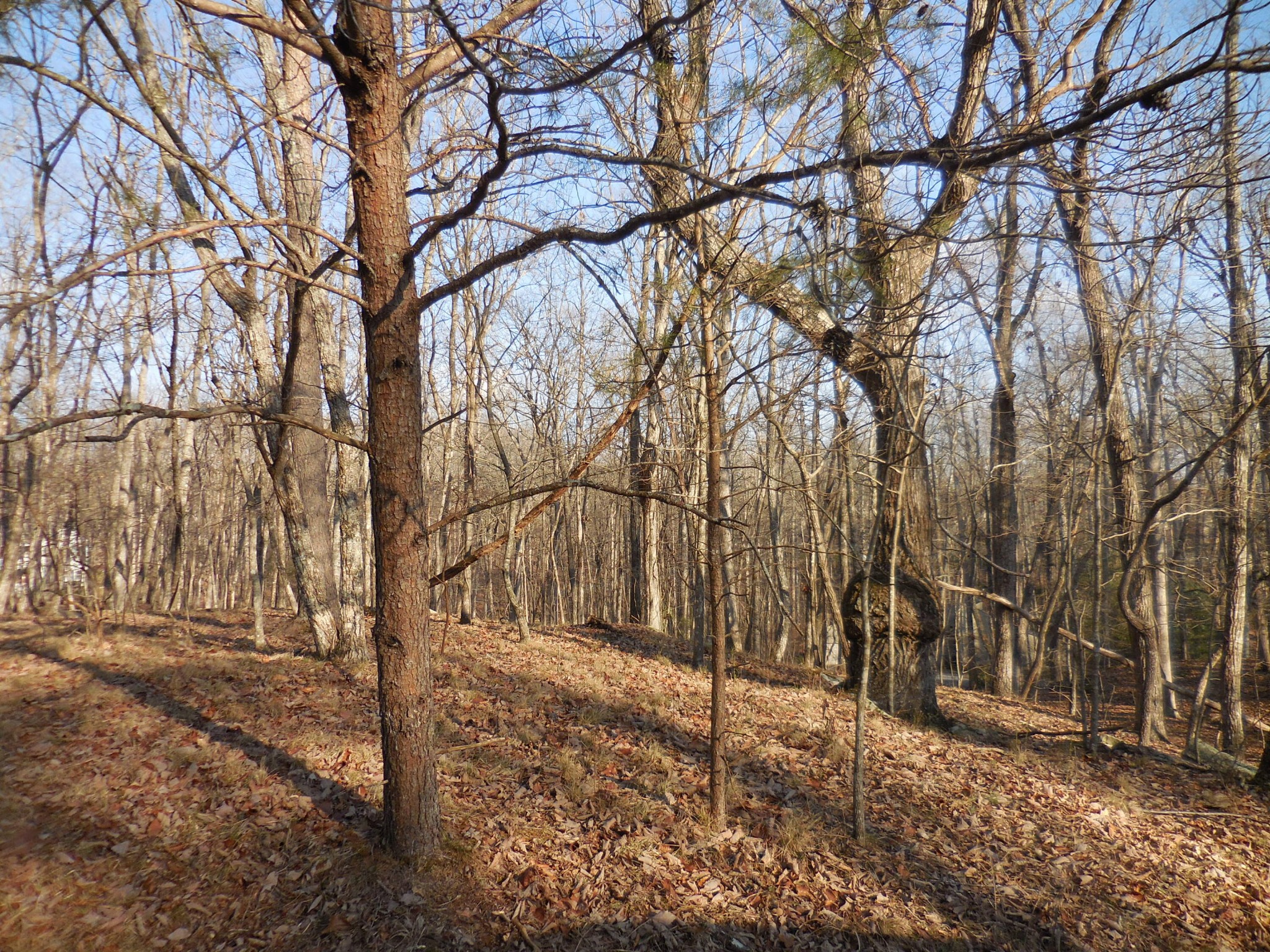 133 Greenbrier Loop Property Photo 11