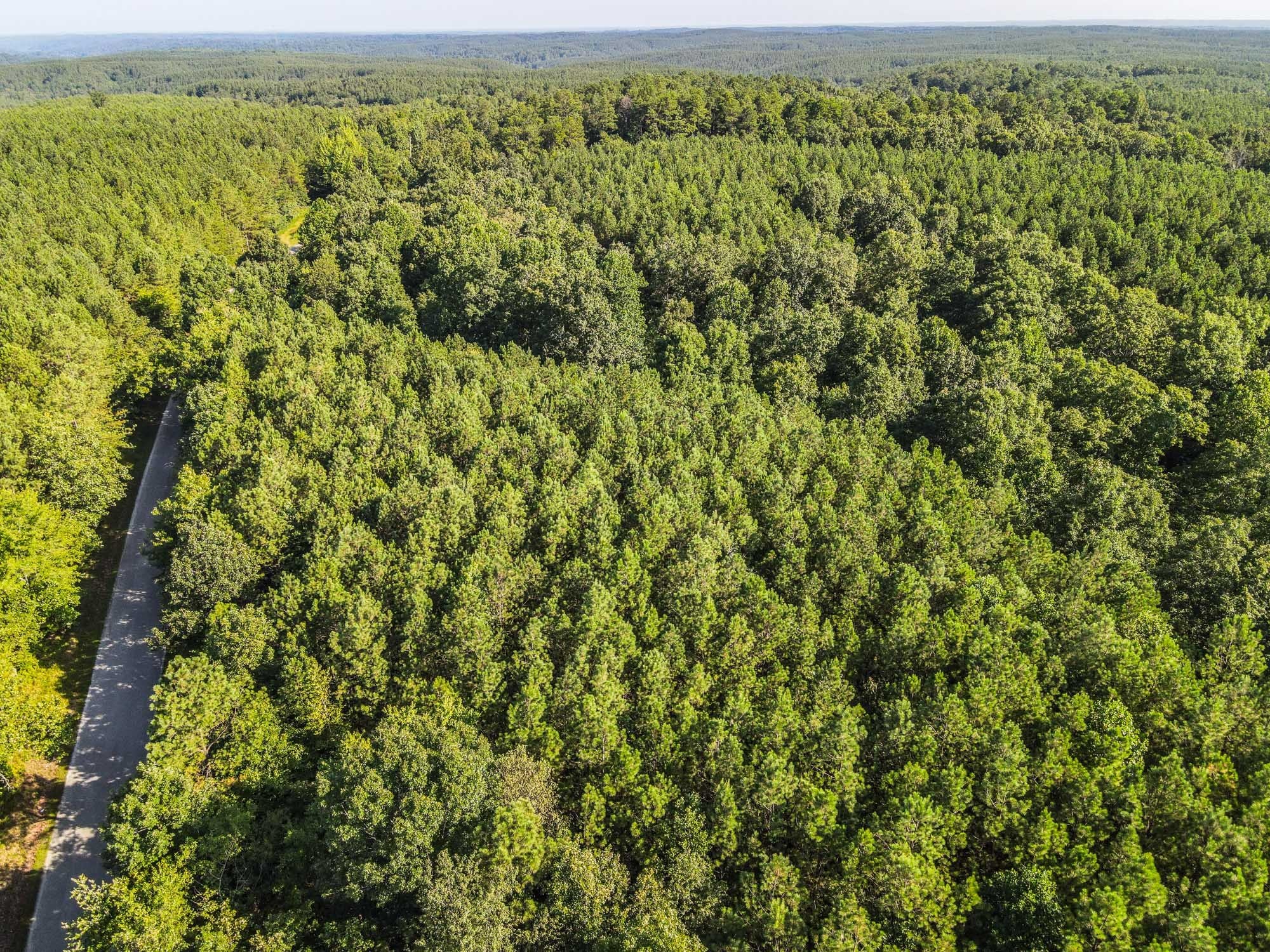 0 Brush Creek Road Property Photo 1
