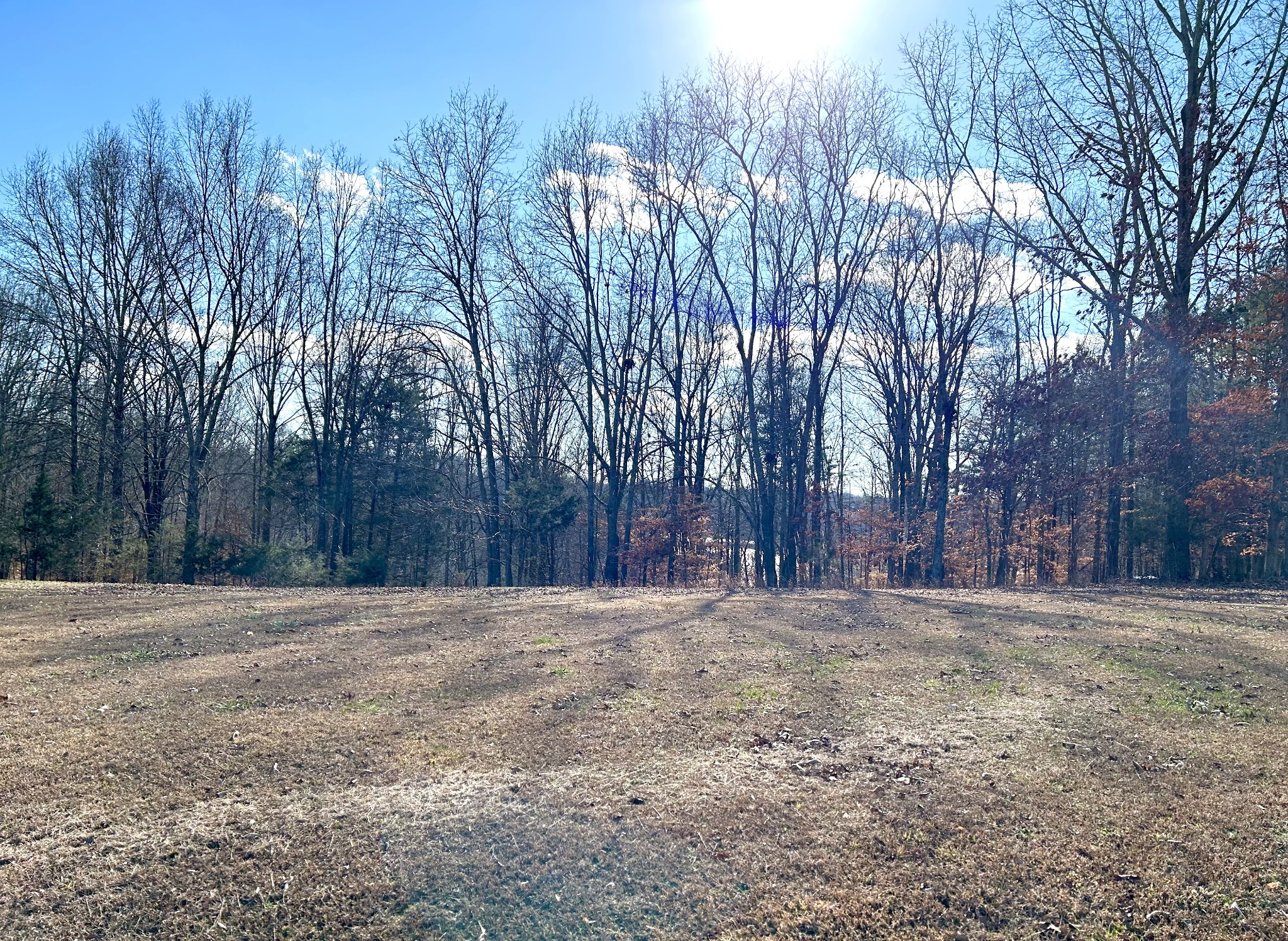 0 Stones Bend Property Photo 1