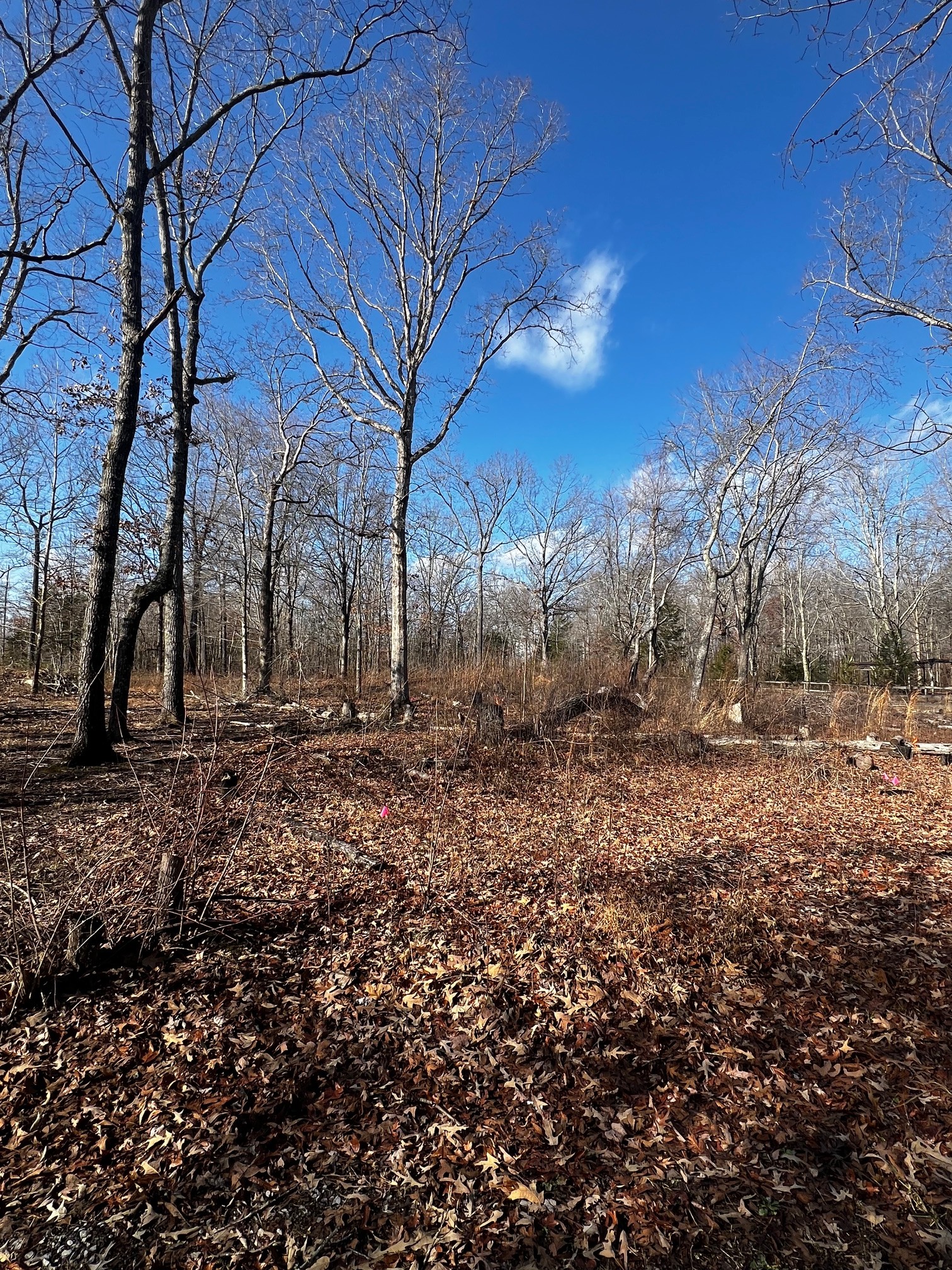 0 Bull Run Property Photo 1