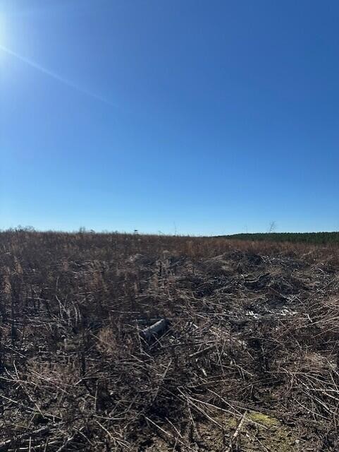4 50th Avenue Property Photo 1
