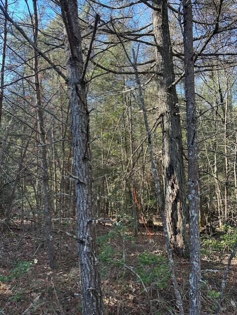5 50th Avenue Property Photo 1