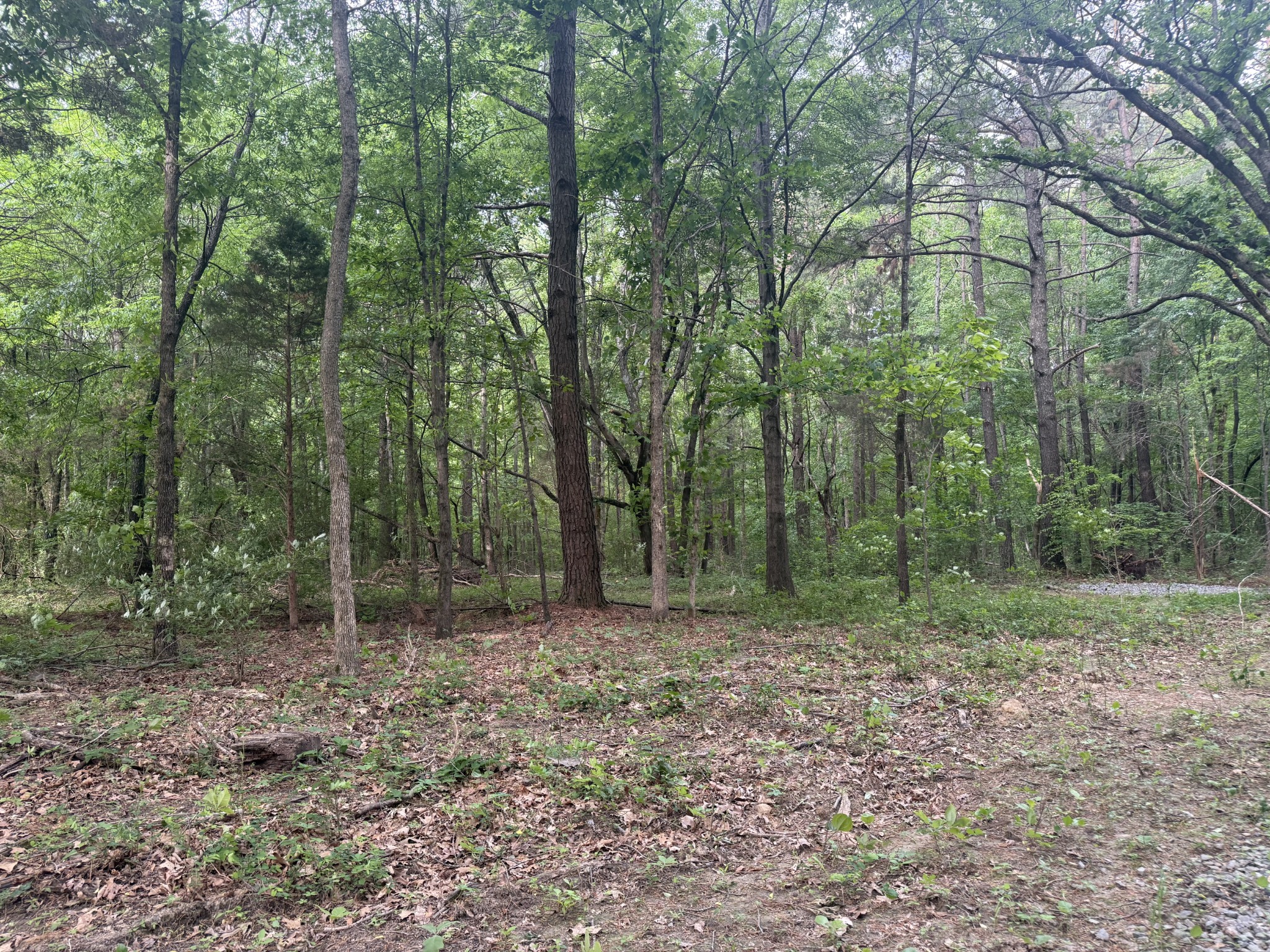 322 Kaiser Rd