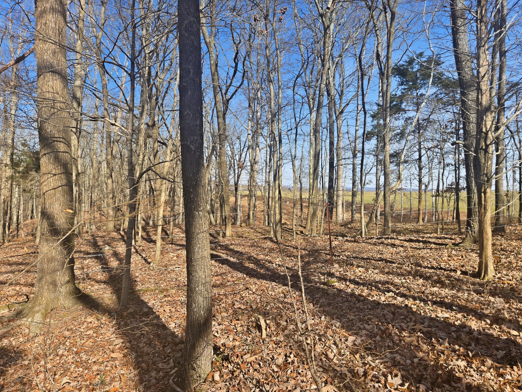 0 Buckeye Road Property Photo 1