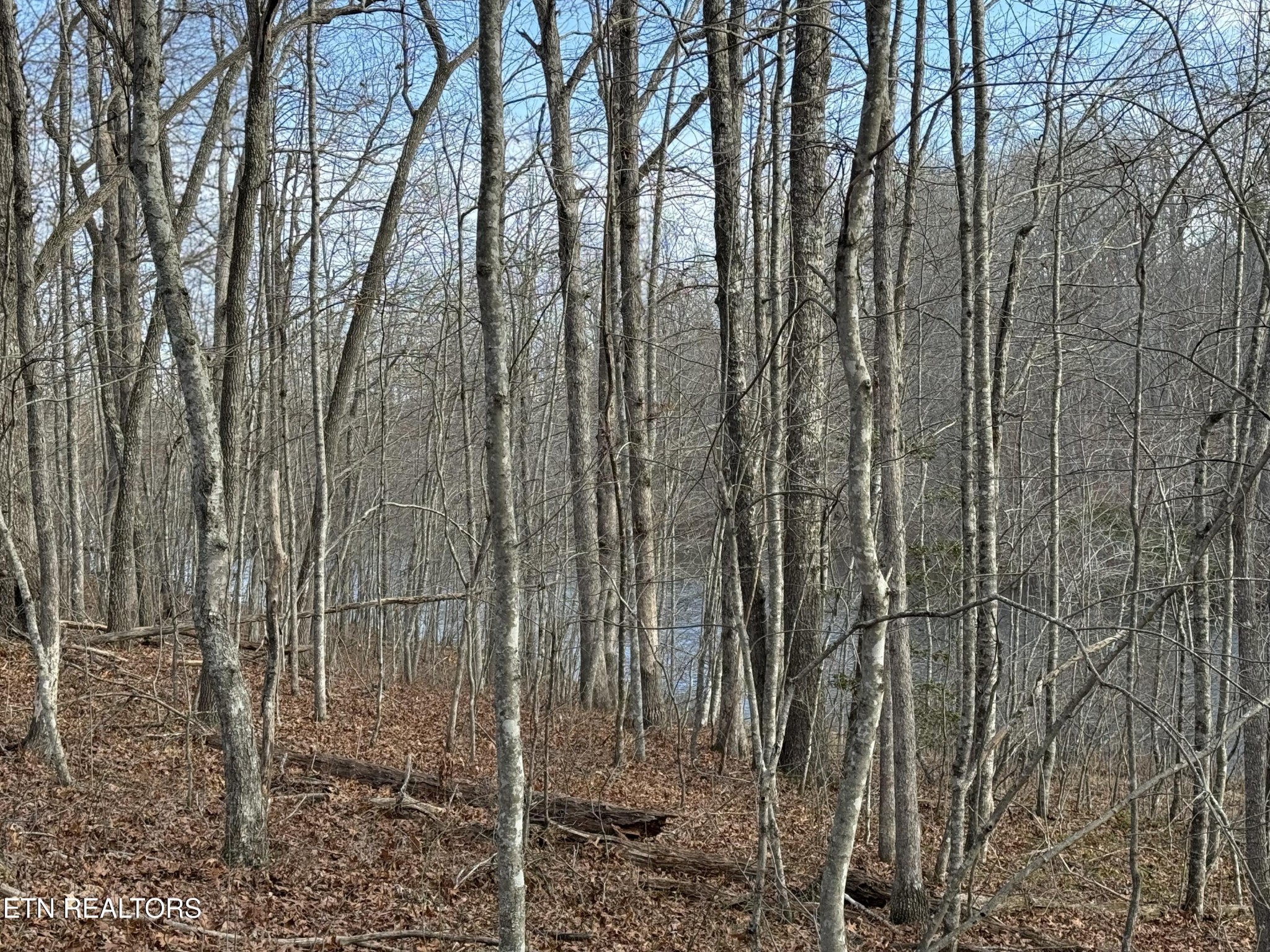 0 Crystal Point Property Photo 1