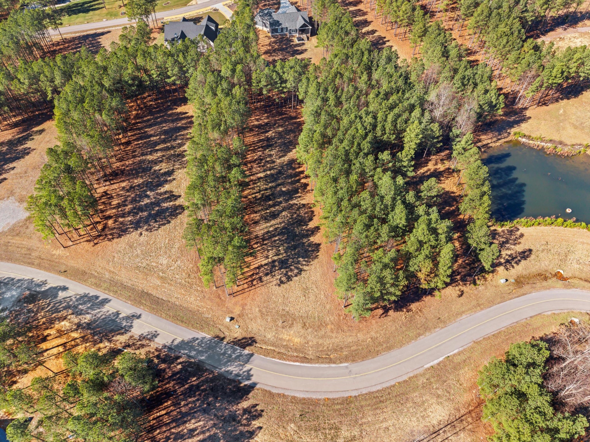 430 Crockett Loop Property Photo 8
