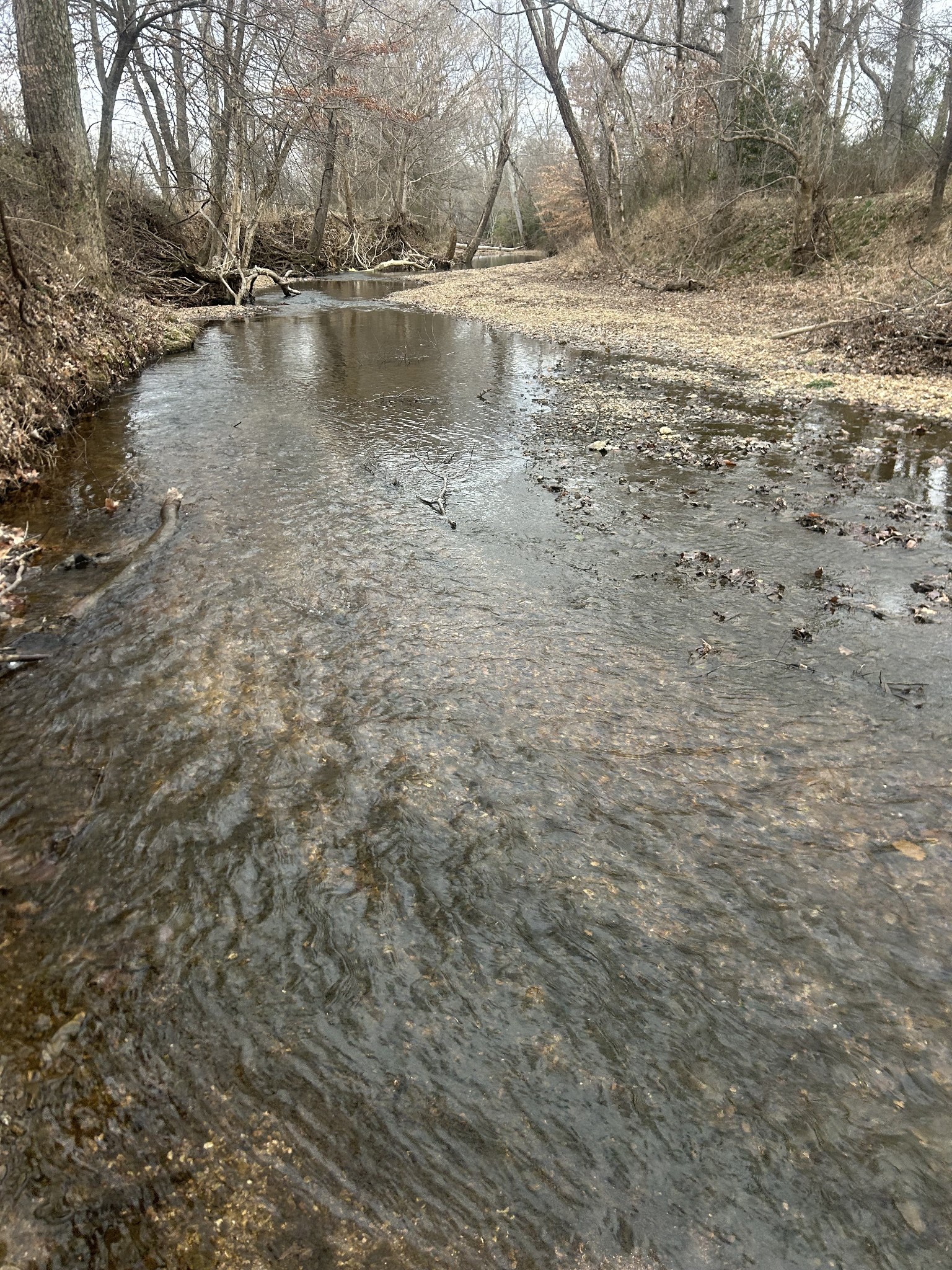 0 Lower Big Sandy Rd Property Photo 4