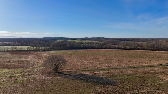 0 Lower Big Sandy Rd Property Photo 8