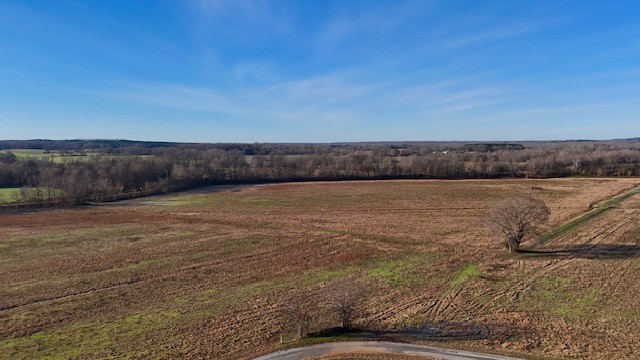 0 Lower Big Sandy Rd Property Photo 9