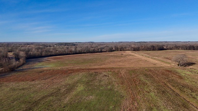 0 Lower Big Sandy Rd Property Photo 10