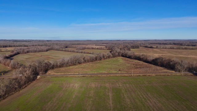 0 Lower Big Sandy Rd Property Photo 12