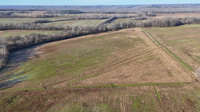 0 Lower Big Sandy Rd Property Photo 13