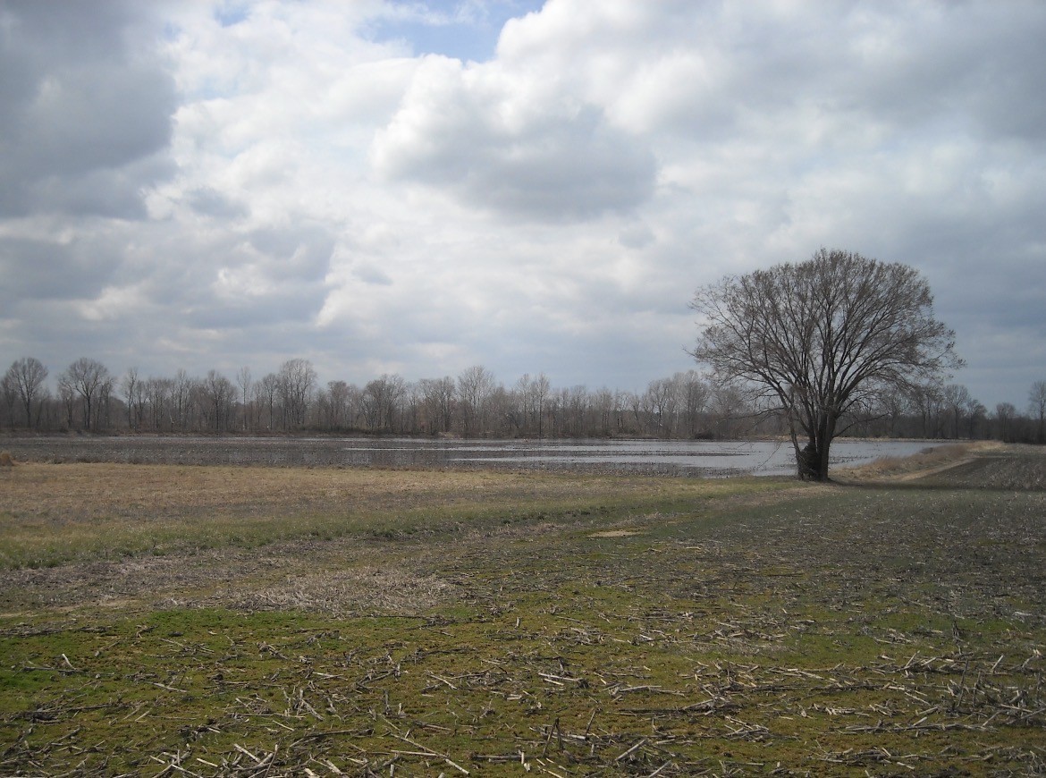 0 Lower Big Sandy Rd Property Photo 14