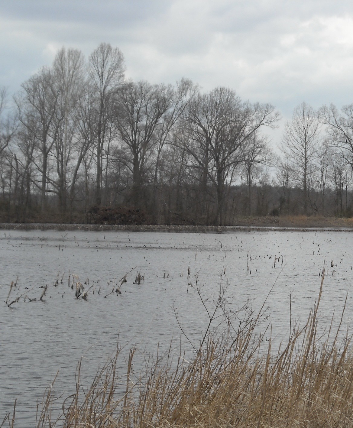 0 Lower Big Sandy Rd Property Photo 15