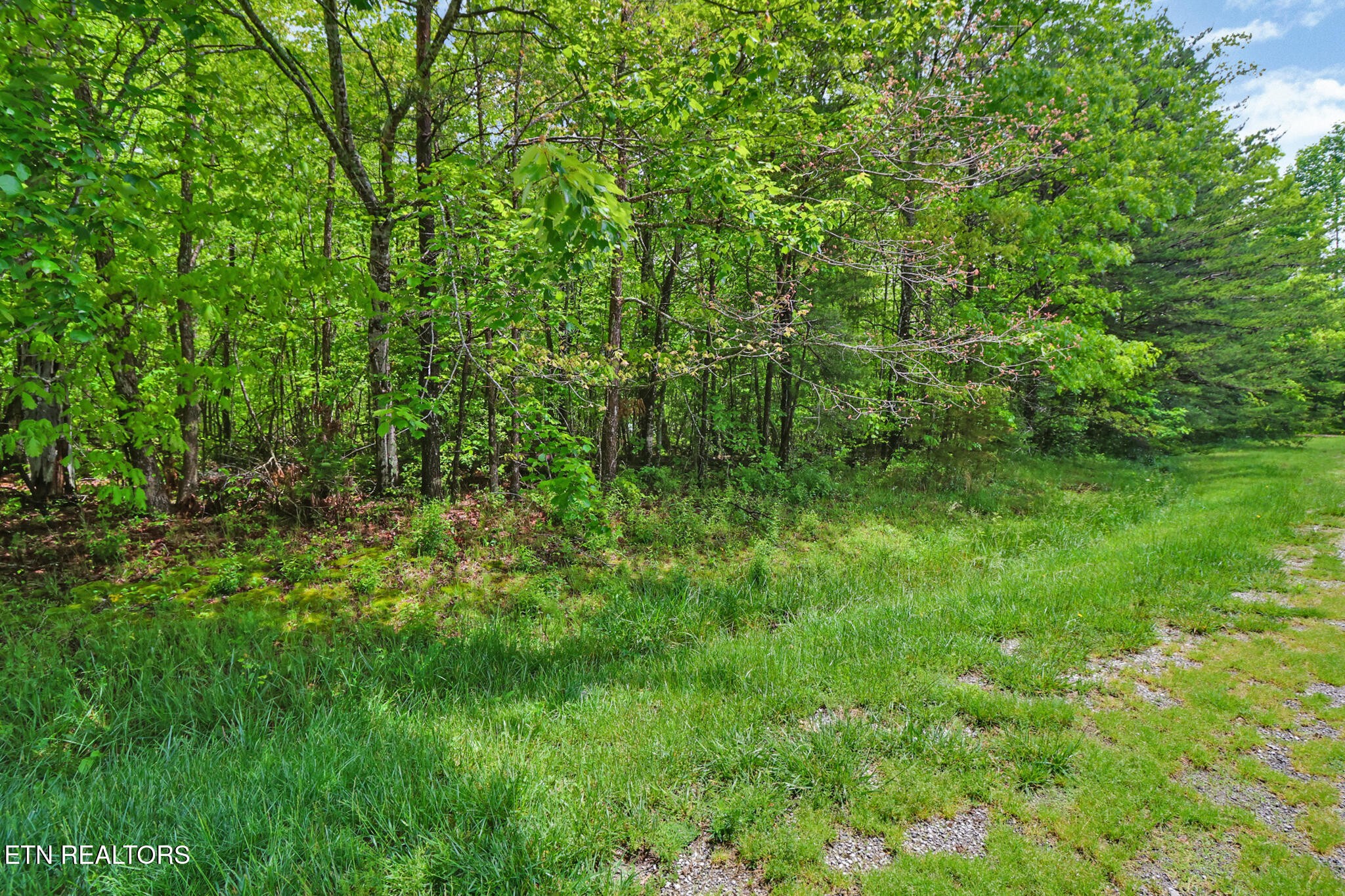 0 Emerald Place Property Photo 17
