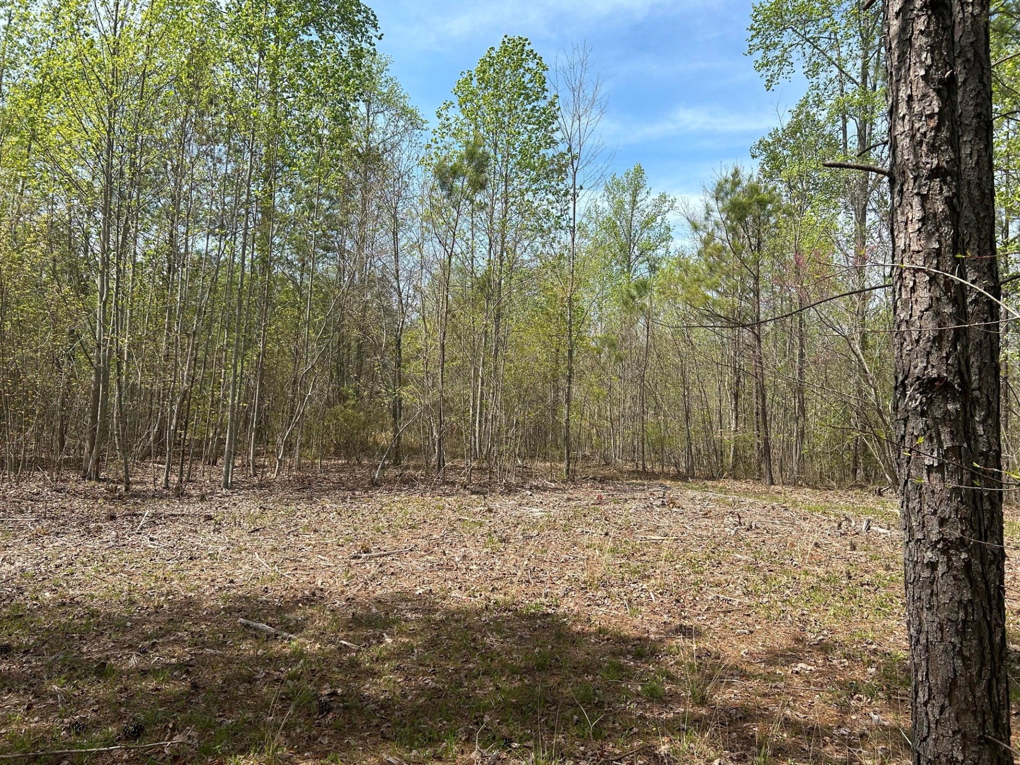 6390 Raulston Falls Rd Property Photo 1