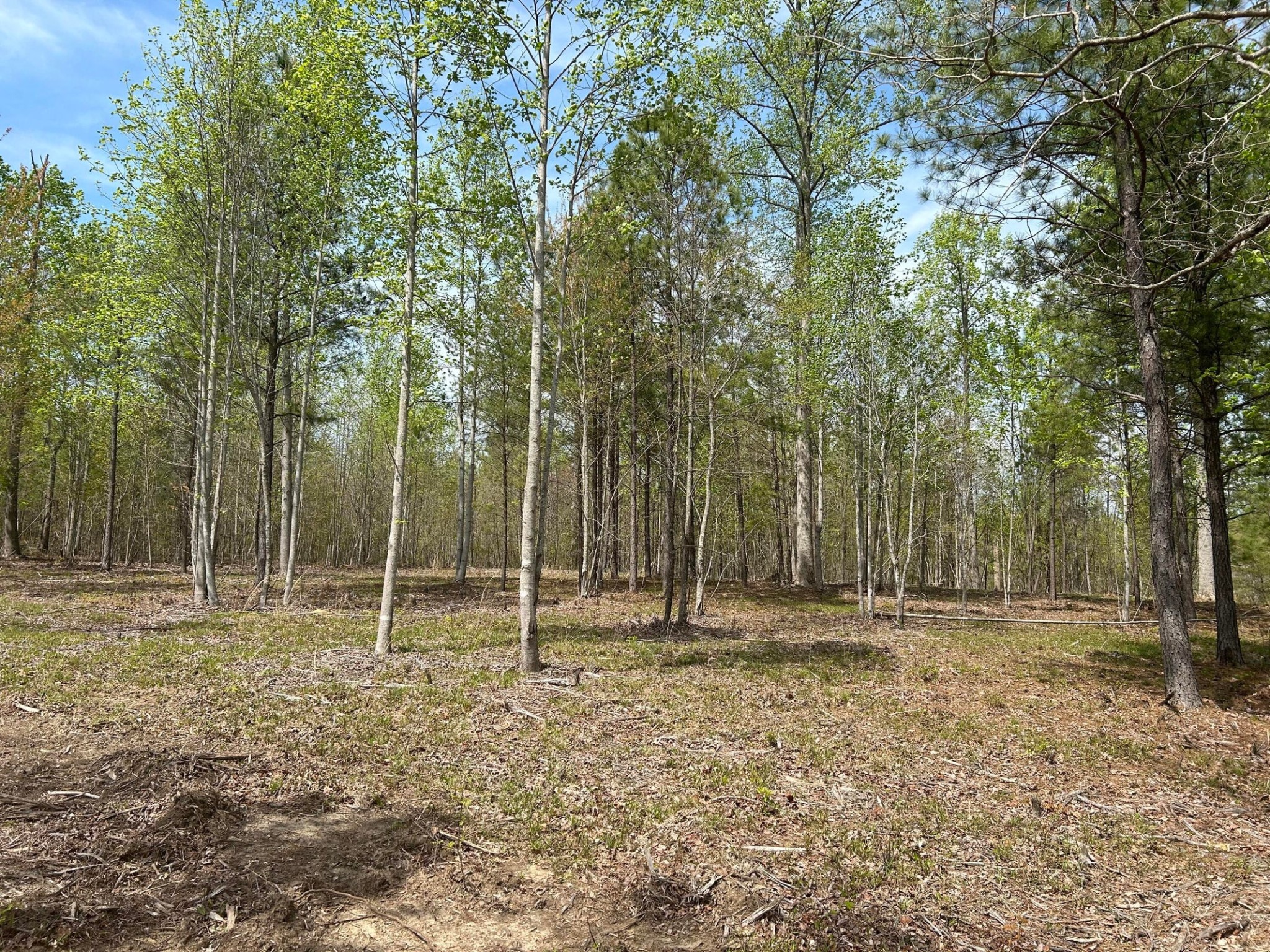 6390 Raulston Falls Rd Property Photo 4