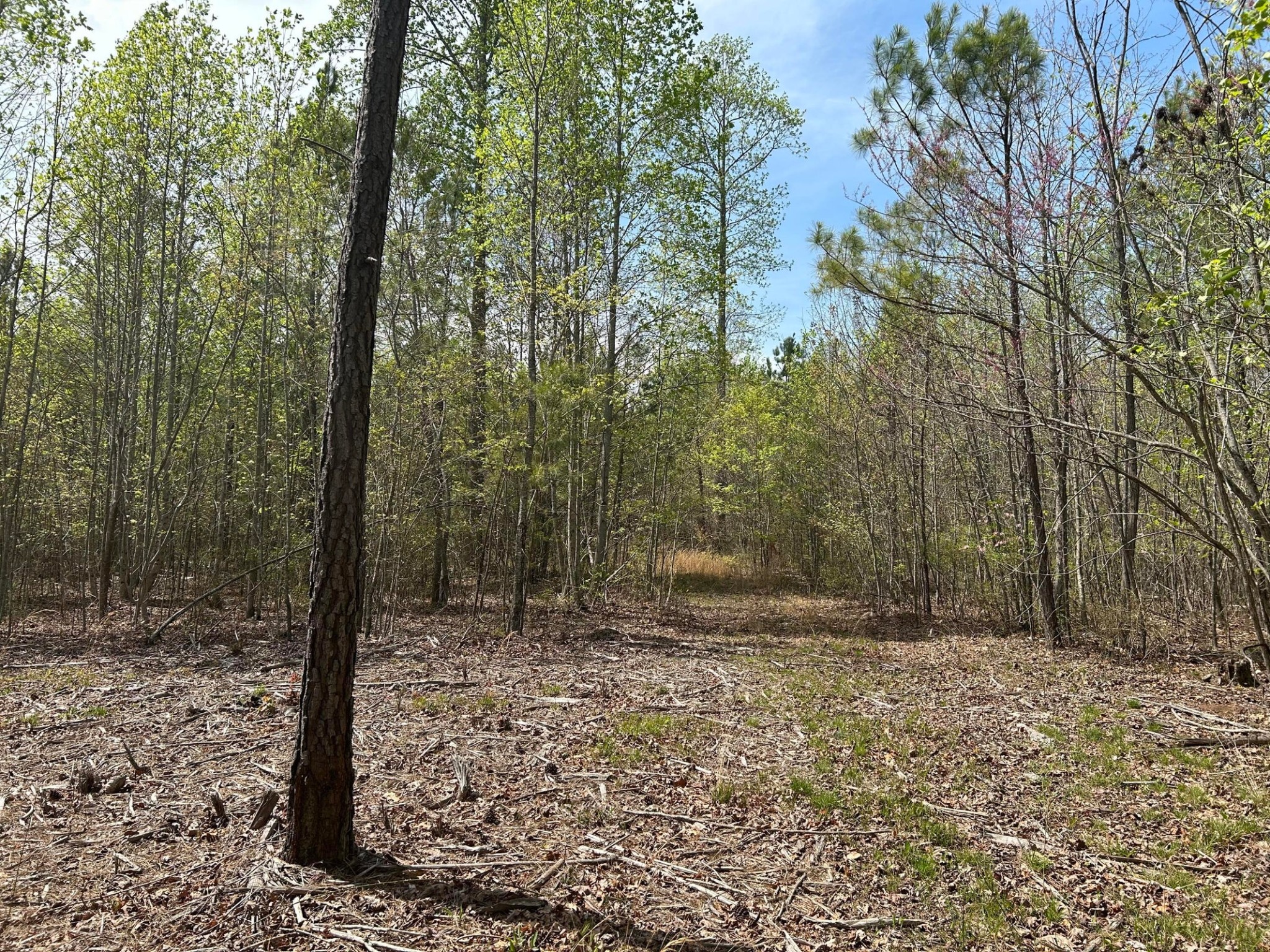 6390 Raulston Falls Rd Property Photo 5