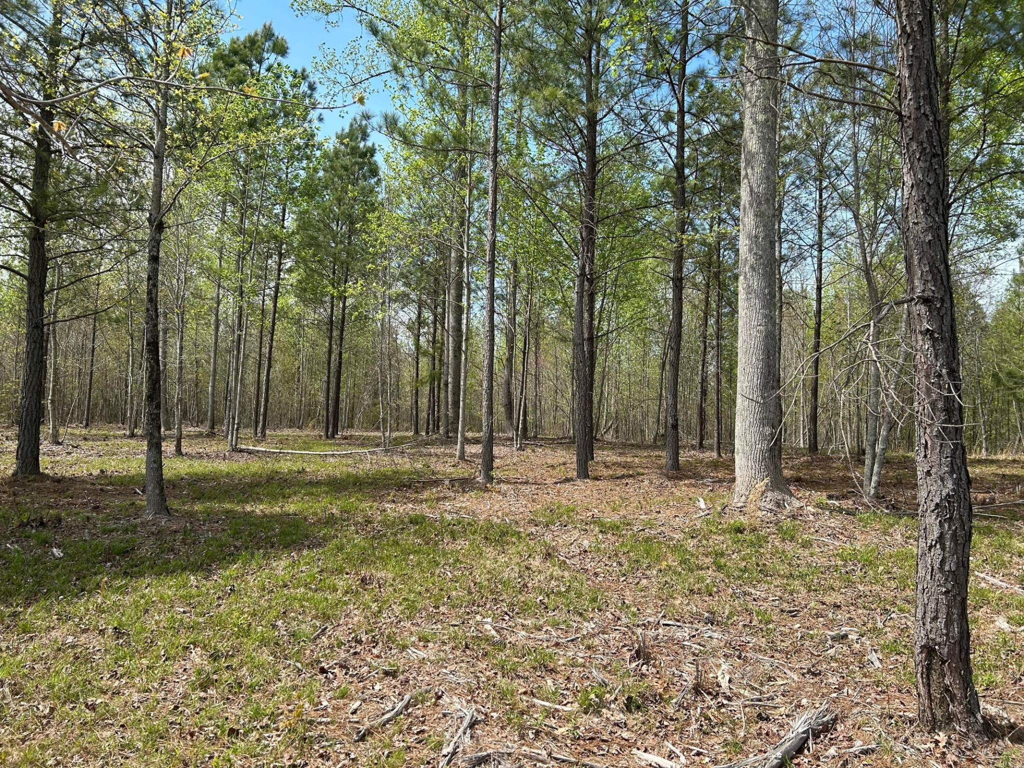 6390 Raulston Falls Rd Property Photo 8