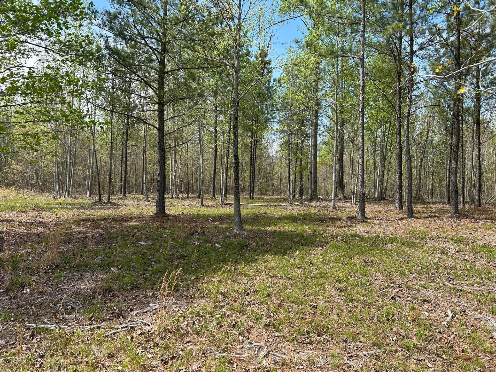 6390 Raulston Falls Rd Property Photo 12