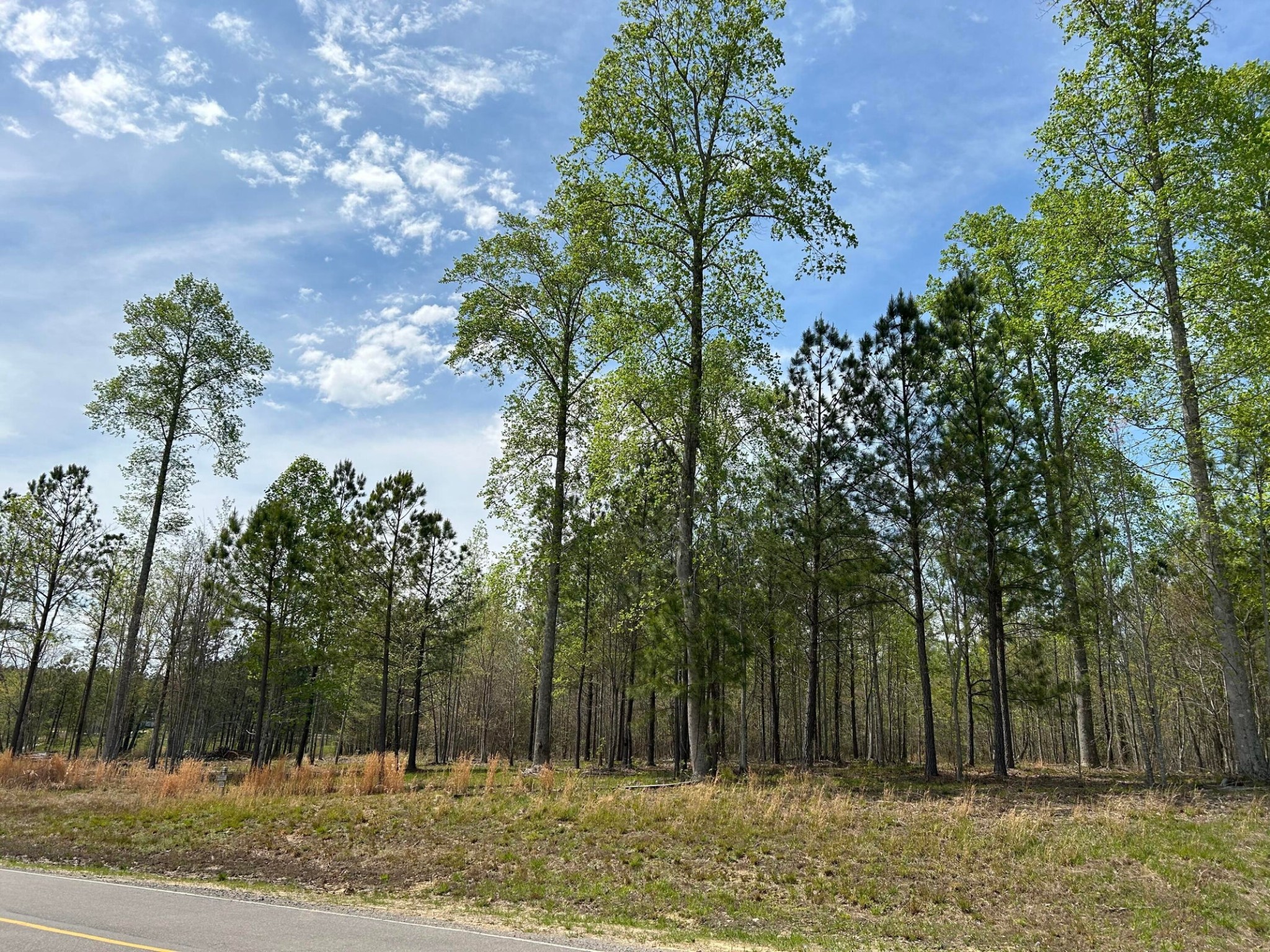 6390 Raulston Falls Rd Property Photo 14