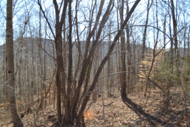 0 Cheyenne Drive Property Photo 63