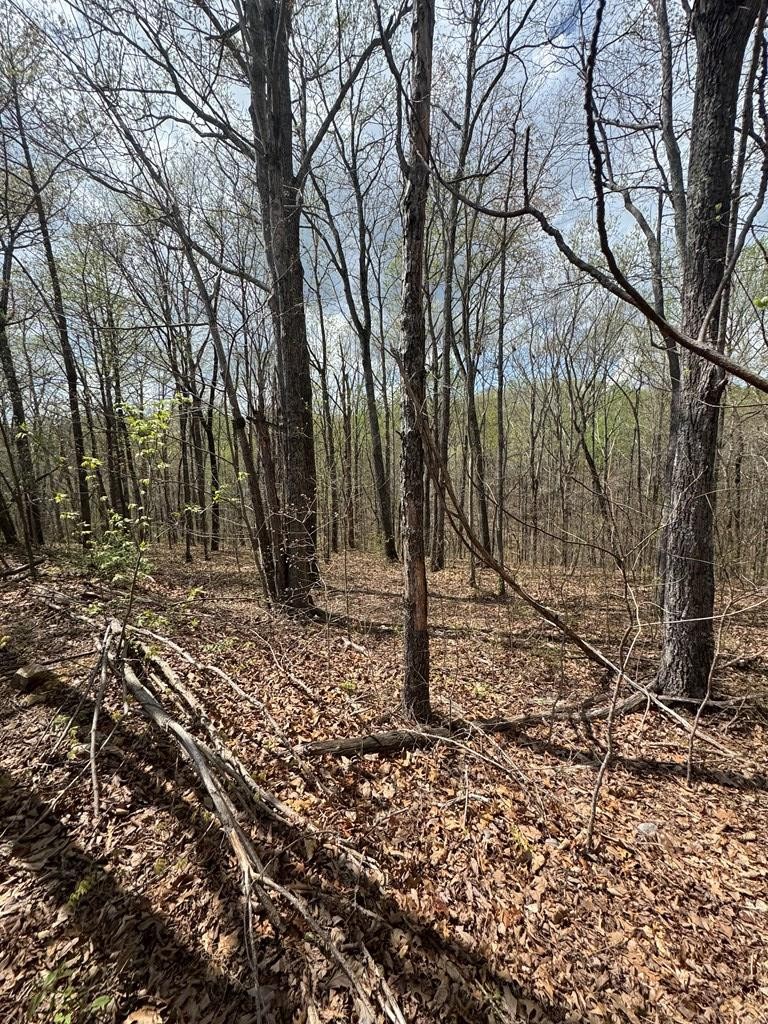 345 Drew Court Property Photo 1