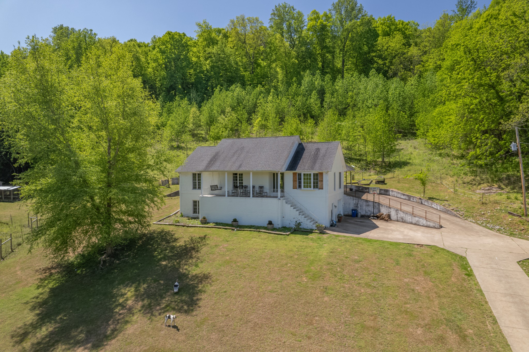 3310 Dog Branch Rd Property Photo 1