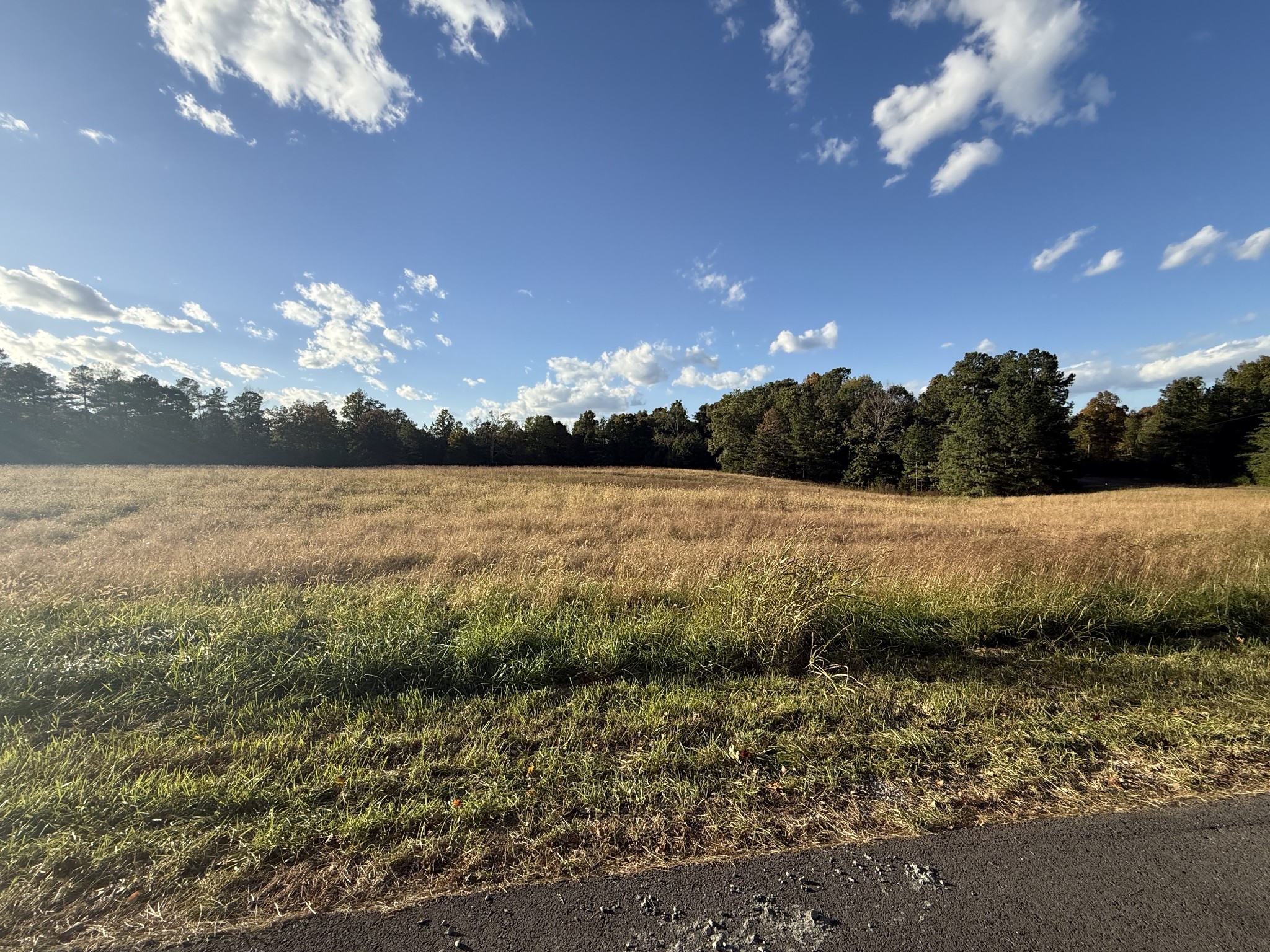 0 Canyon Run Rd Property Photo 1